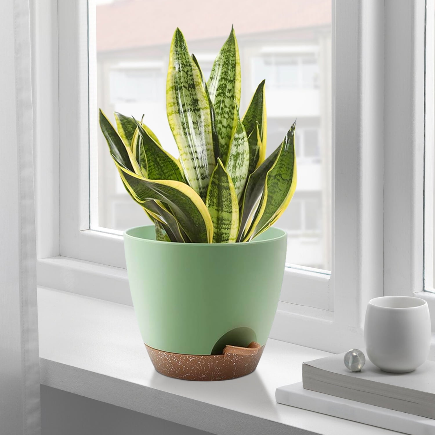 Foukus Self-Watering Plant Pots with Drainage, Eco-Friendly Indoor & Outdoor Planters for Succulents (Green, 5-Piece Set, 5 in to 7 in) nivg5