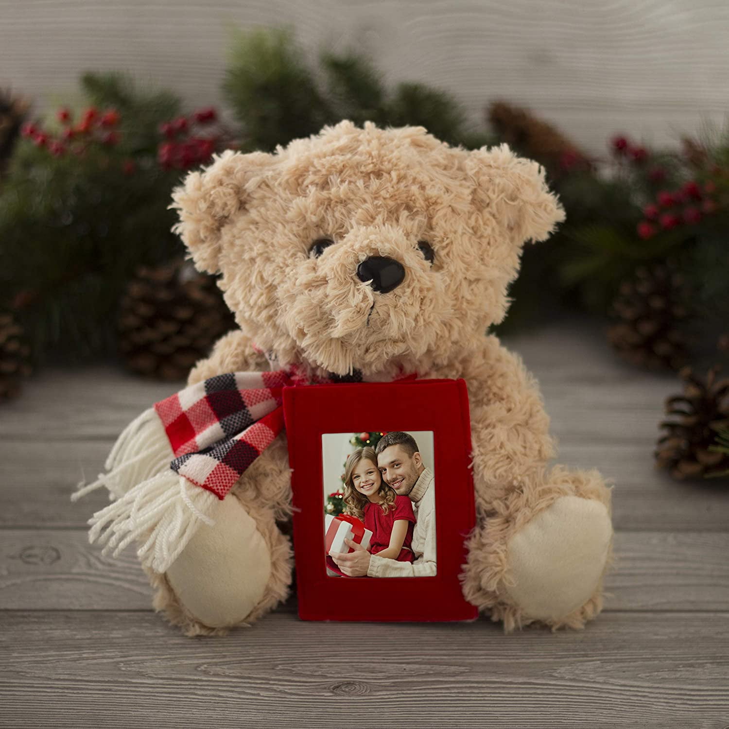 Fine Photo Gifts Plush Teddy Bear with Picture Frame (Tan, 9.75 in x 8.5 in x 8 in) l8ahf