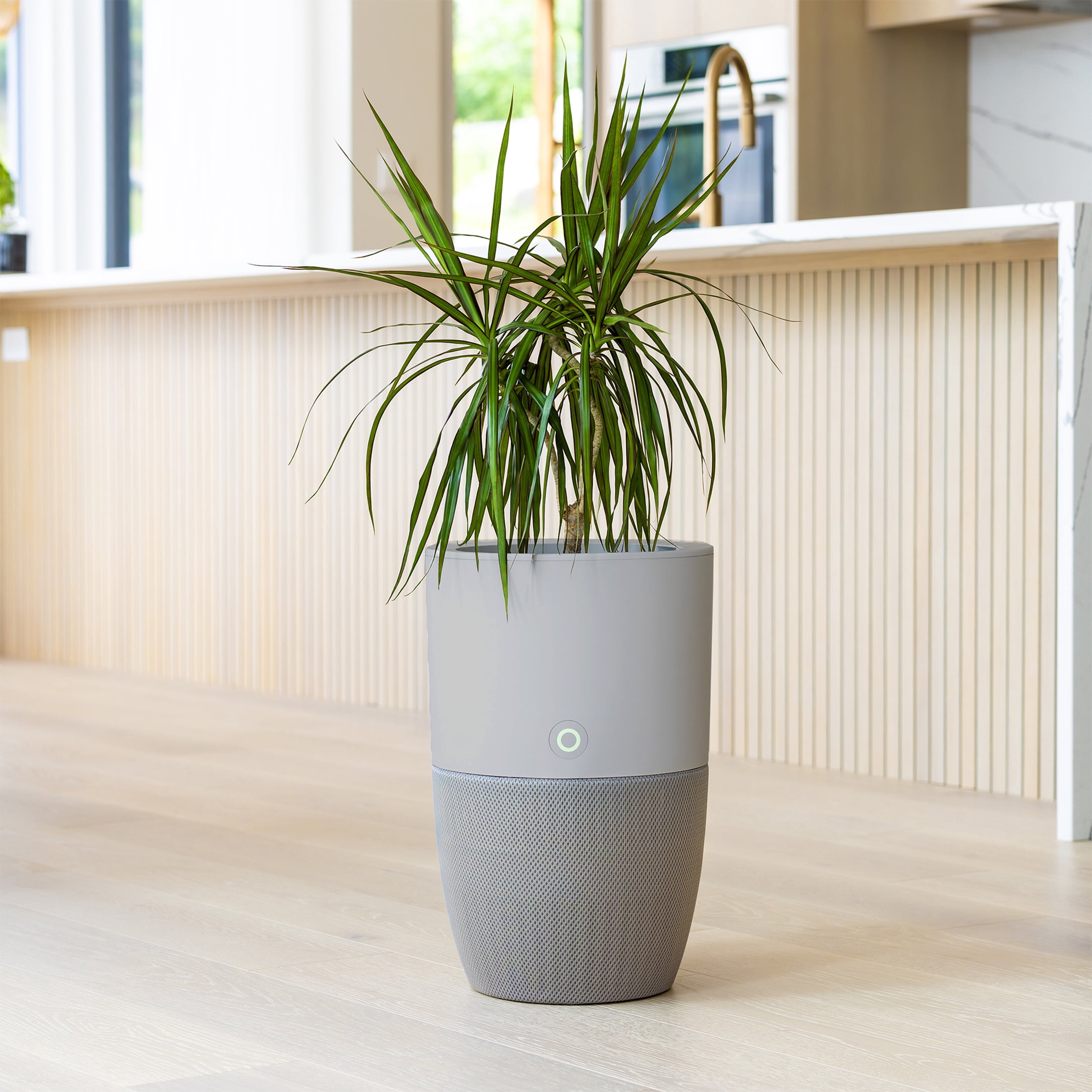 Dupray Bloom Smart Air Purifier for Large Rooms, HEPA-13 Filtration with AutoDetect Technology (Gray, 1517 sq ft) 5km0c