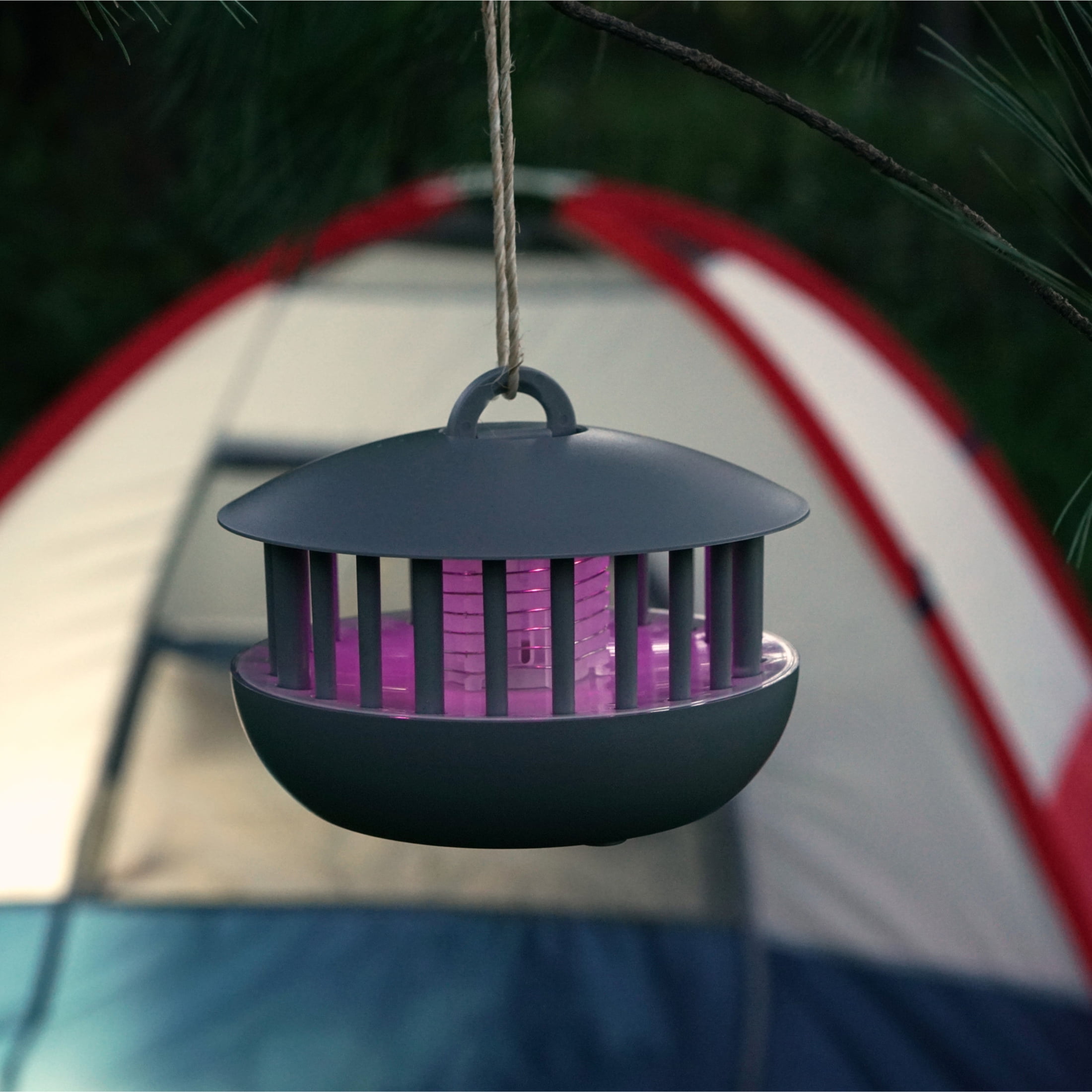 Pic Corporation 2-in-1 Portable Mosquito Zapper and Accent Light (Gray, 100 sq ft) xrzwx