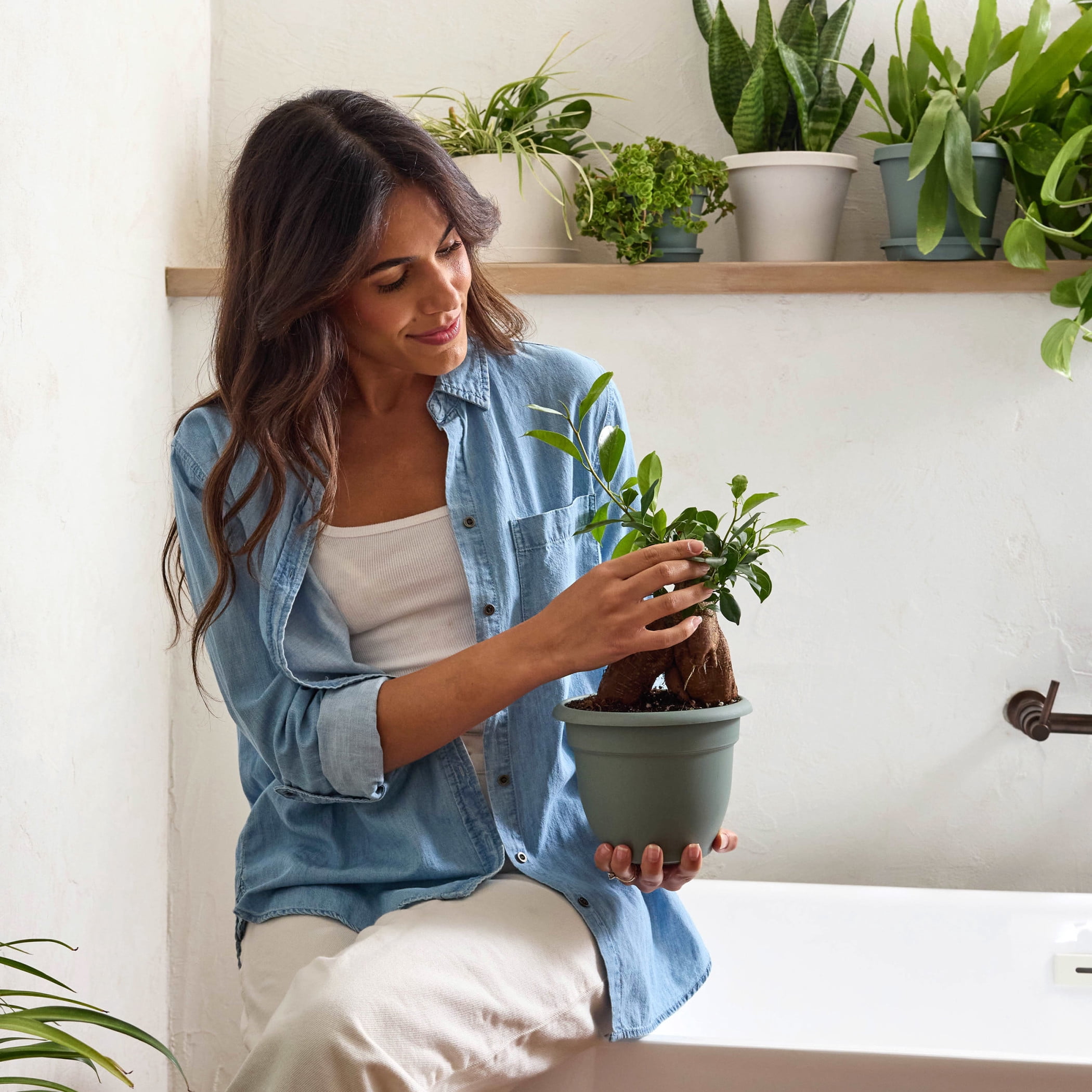 Bloem Ariana Self-Watering Plastic Planter Pot (Green, 6 in) ist7e