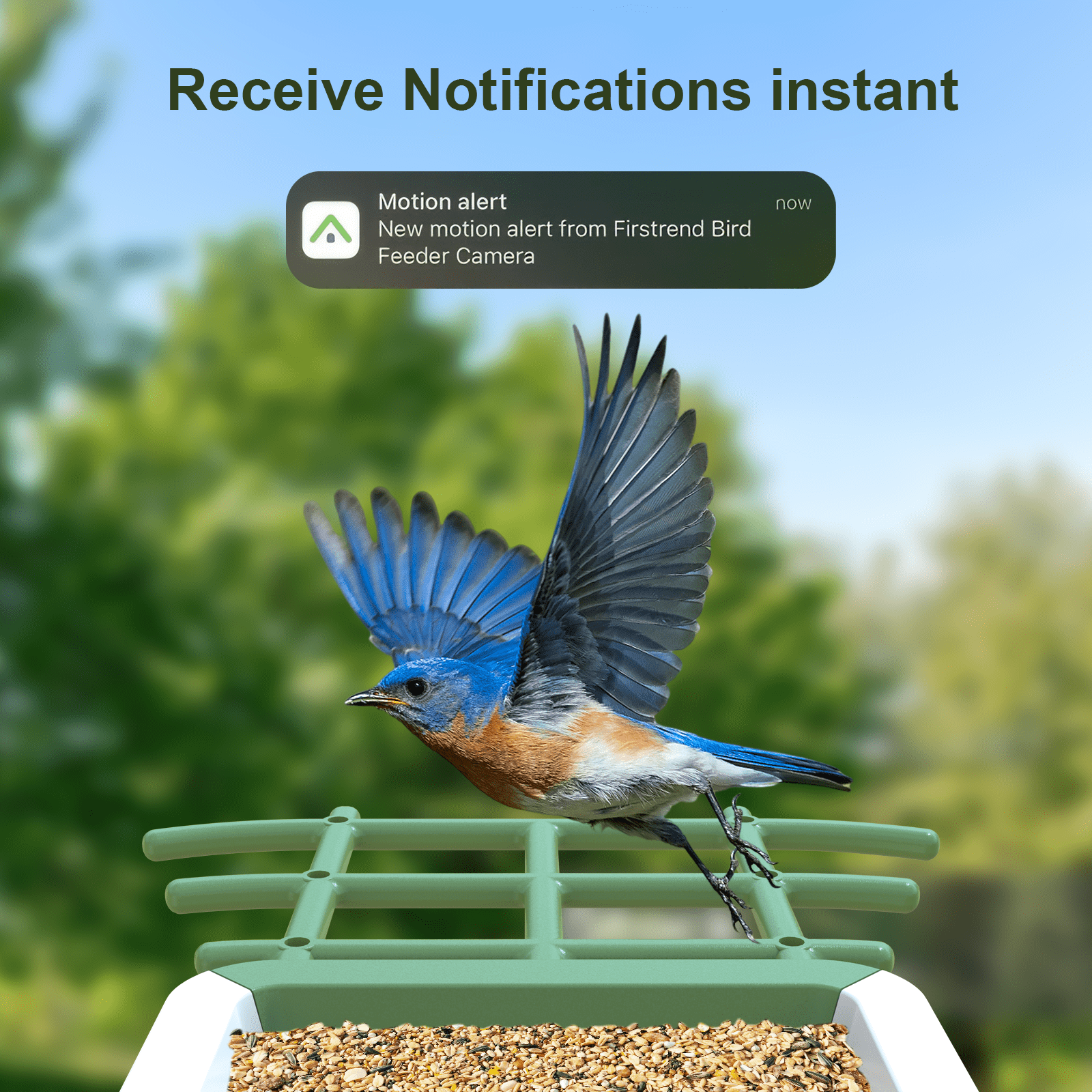 MADTASK Smart Bird Feeder with Camera, Solar Powered Outdoor Wireless WiFi Birdhouse with AI Recognition (Green, 1 Pack) nvml9