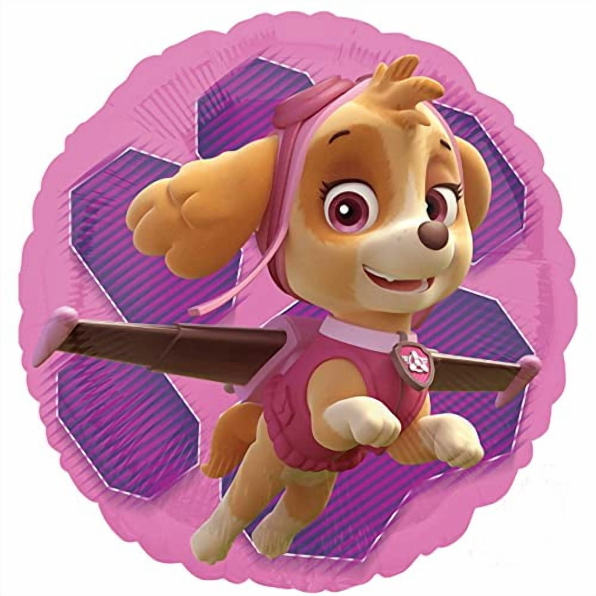 Anagram Skye and Everest 4th Birthday Party Balloon Bouquet Decoration Set (Pink, 5ct) vyg4i