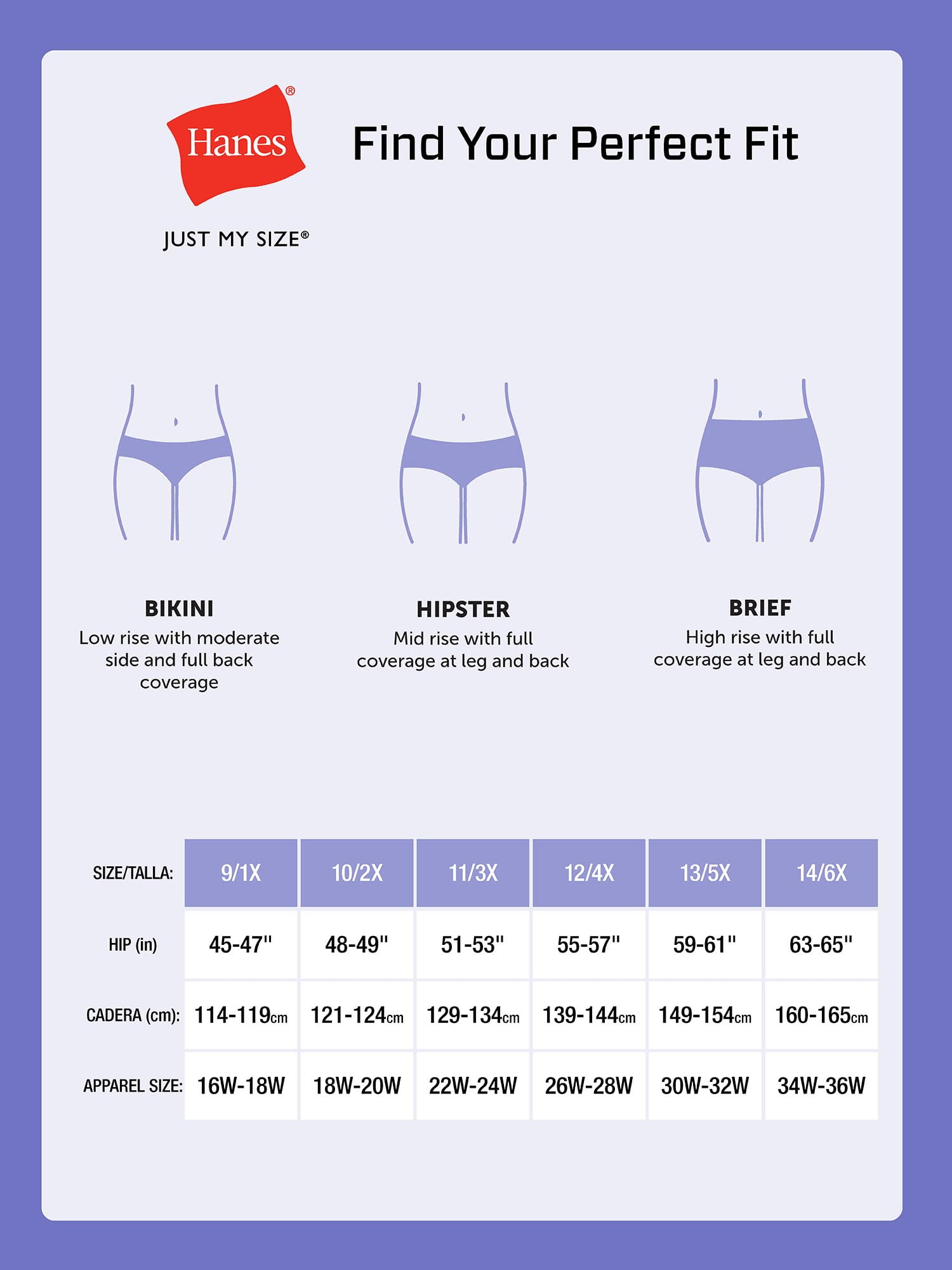 Hanes Women's Breathable Mesh Brief Panties (Assorted Colors, 5-Pack) 6vw74