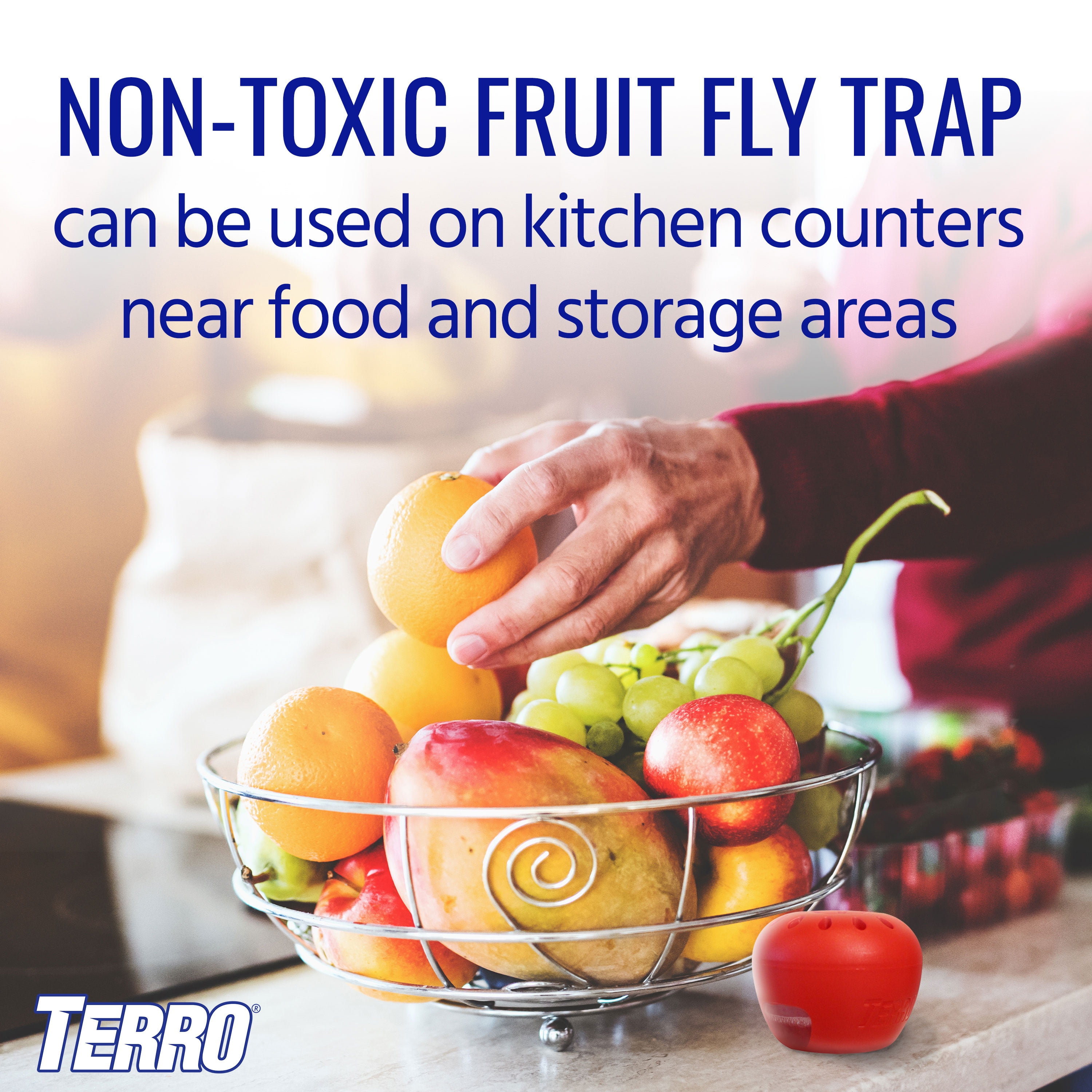 TERRO Fruit Fly Trap, Indoor Pest Control for Kitchen and Home (6 Pack) yp9gn