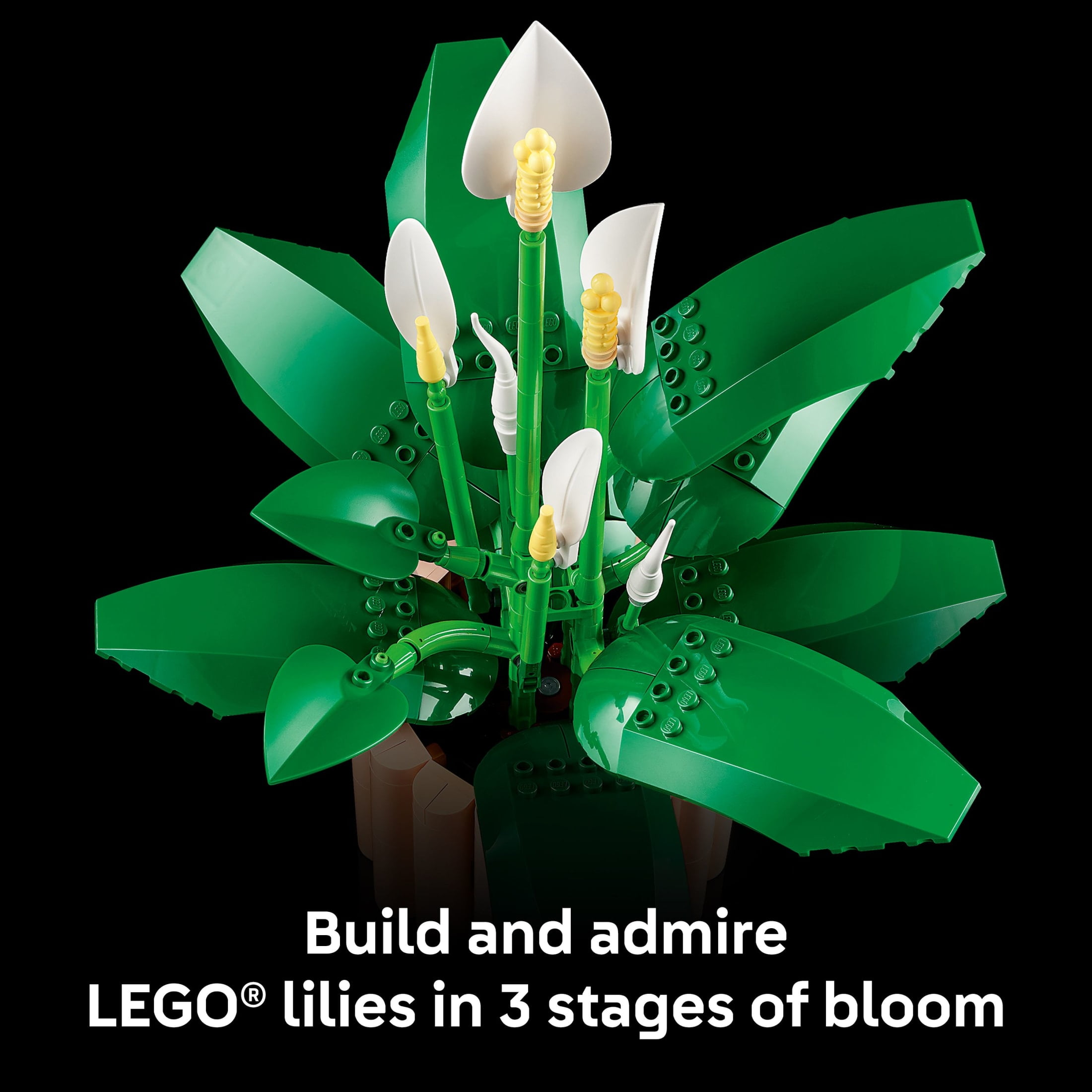LEGO Botanicals Peace Lily Flower Building Set, Artificial Floral Decor for Home and Office (474 Pieces) 7nc4y