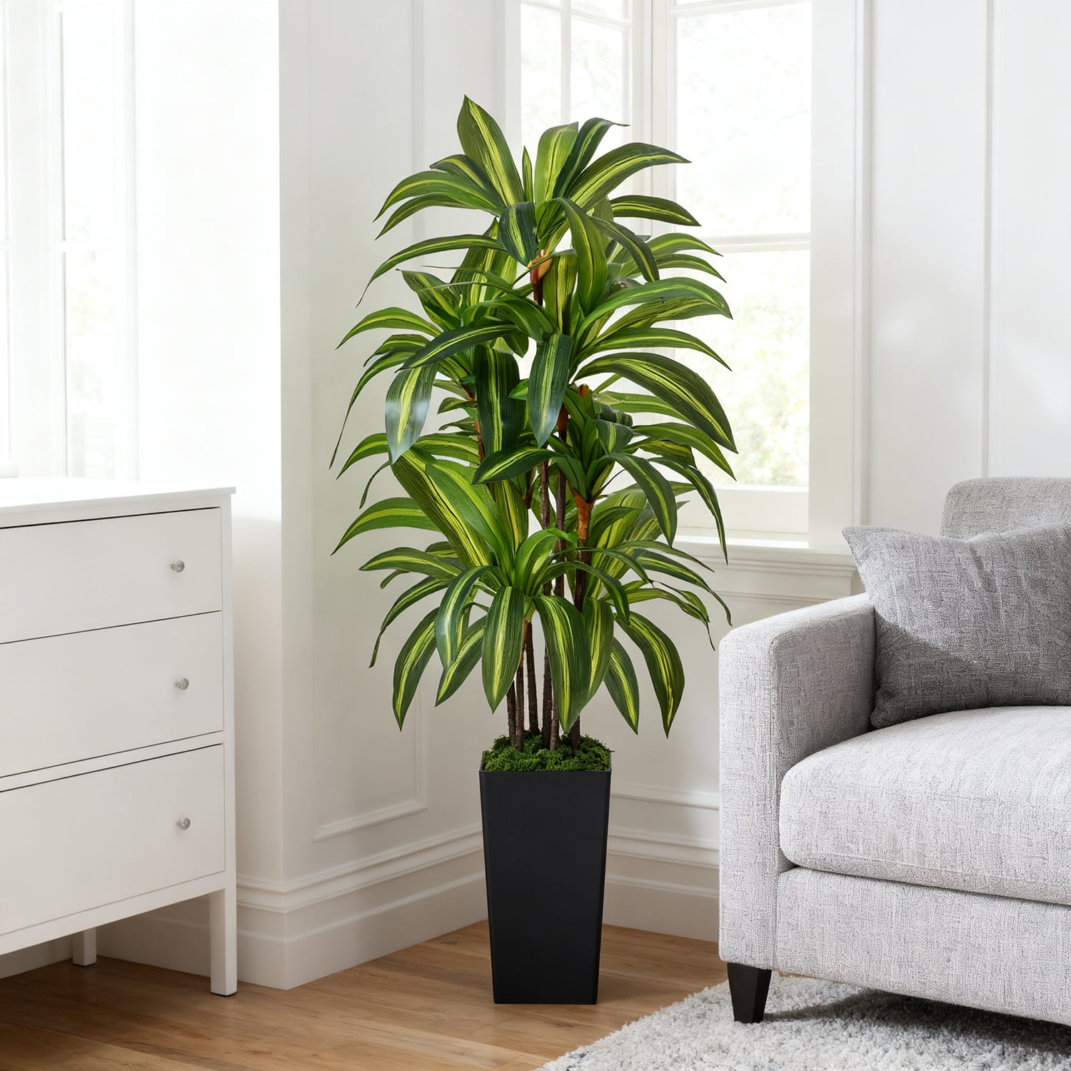 NOVAROOT Artificial Dracaena Tree, Faux Tropical Floor Plant with Black Planter (5 ft) 4hxx9