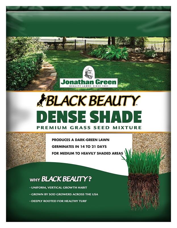 Jonathan Green Black Beauty Dense Shade Grass Seed Mix (Green, 3 lb) 05h5x