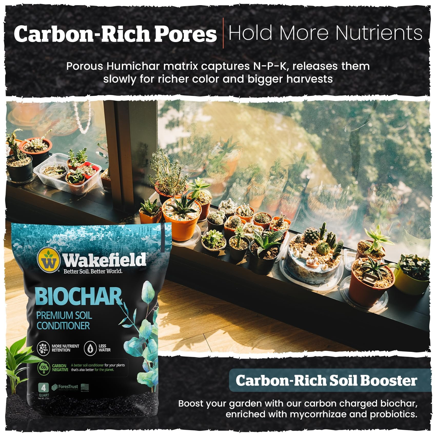 Wakefield Biochar Premium Soil Conditioner for Garden and Container Plants (4 qt) lb691