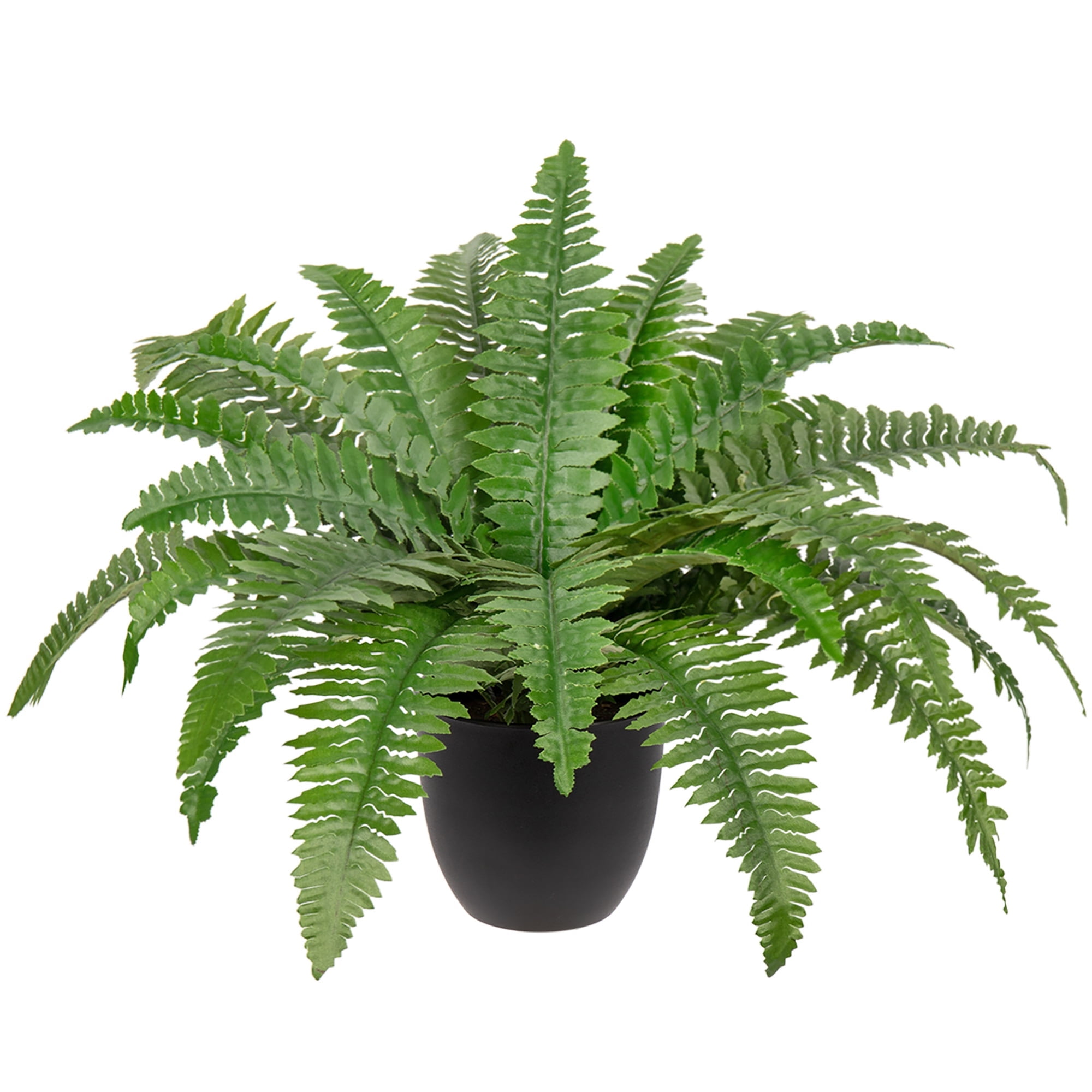GnFlus Artificial Boston Fern Potted Plant for Home and Office Decor (Green, 9.8 in Tall) vja58