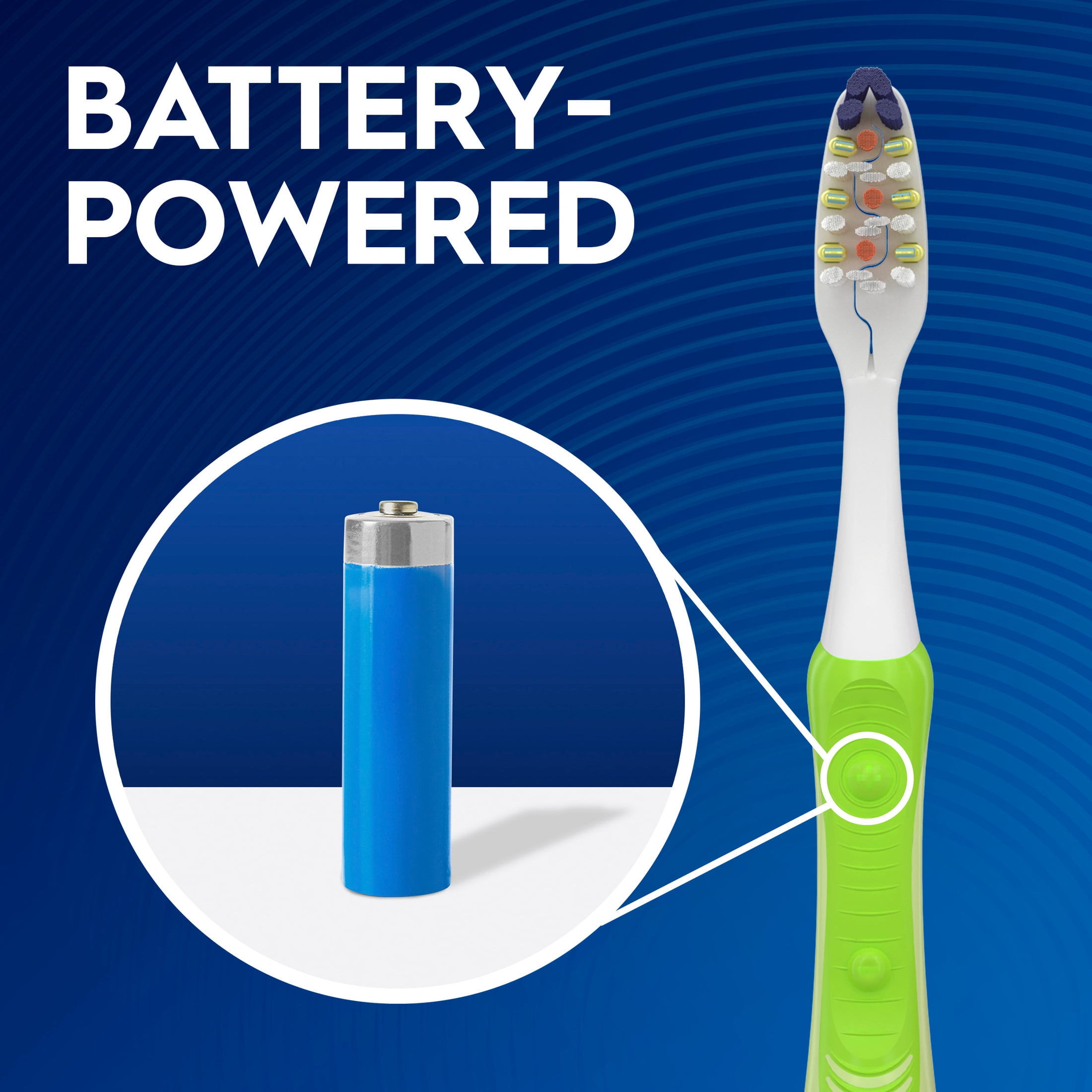 Oral-B Pulsar Battery Powered Toothbrush, Medium Bristles, Expert Clean (2 Count) 1ibz2
