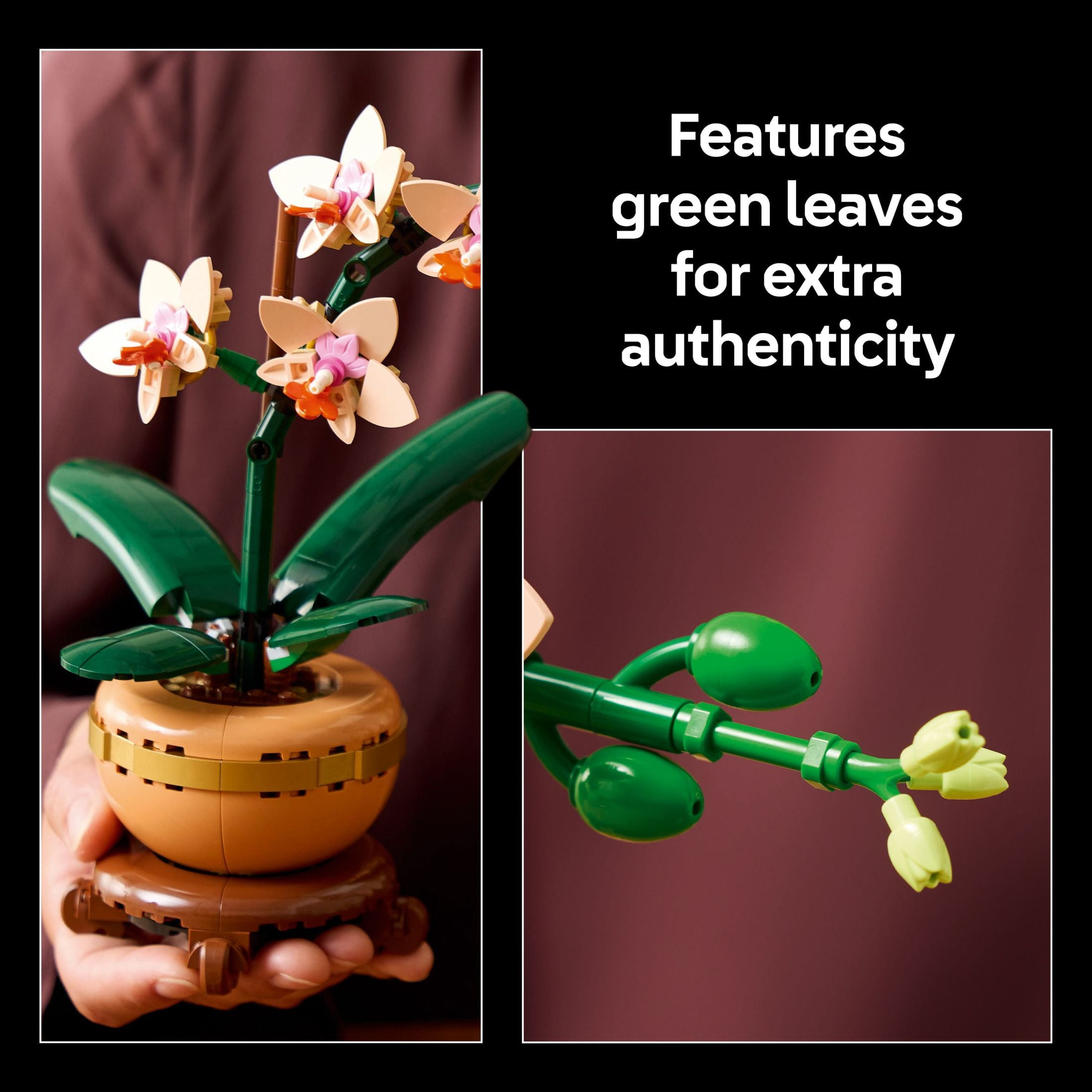 LEGO Botanicals Mini Orchid Building Set, Artificial Flower Plant Decor for Home and Office (274 Pieces, 10 in. Tall) b9x0p