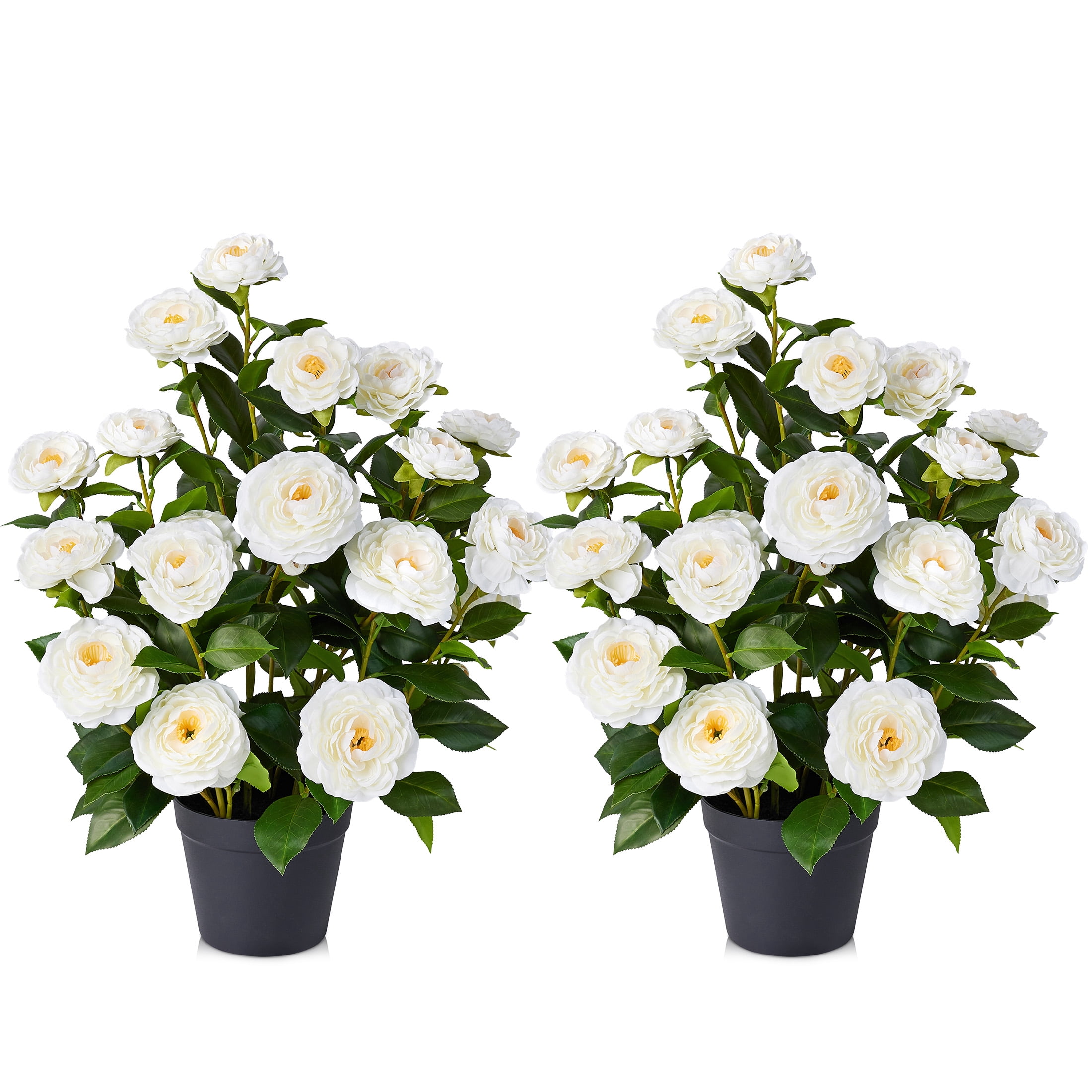 DR.Planzen Artificial Camellia Tree Potted Faux Plant for Indoor Decor (White, 2 ft, 2 Pack) rj8d5