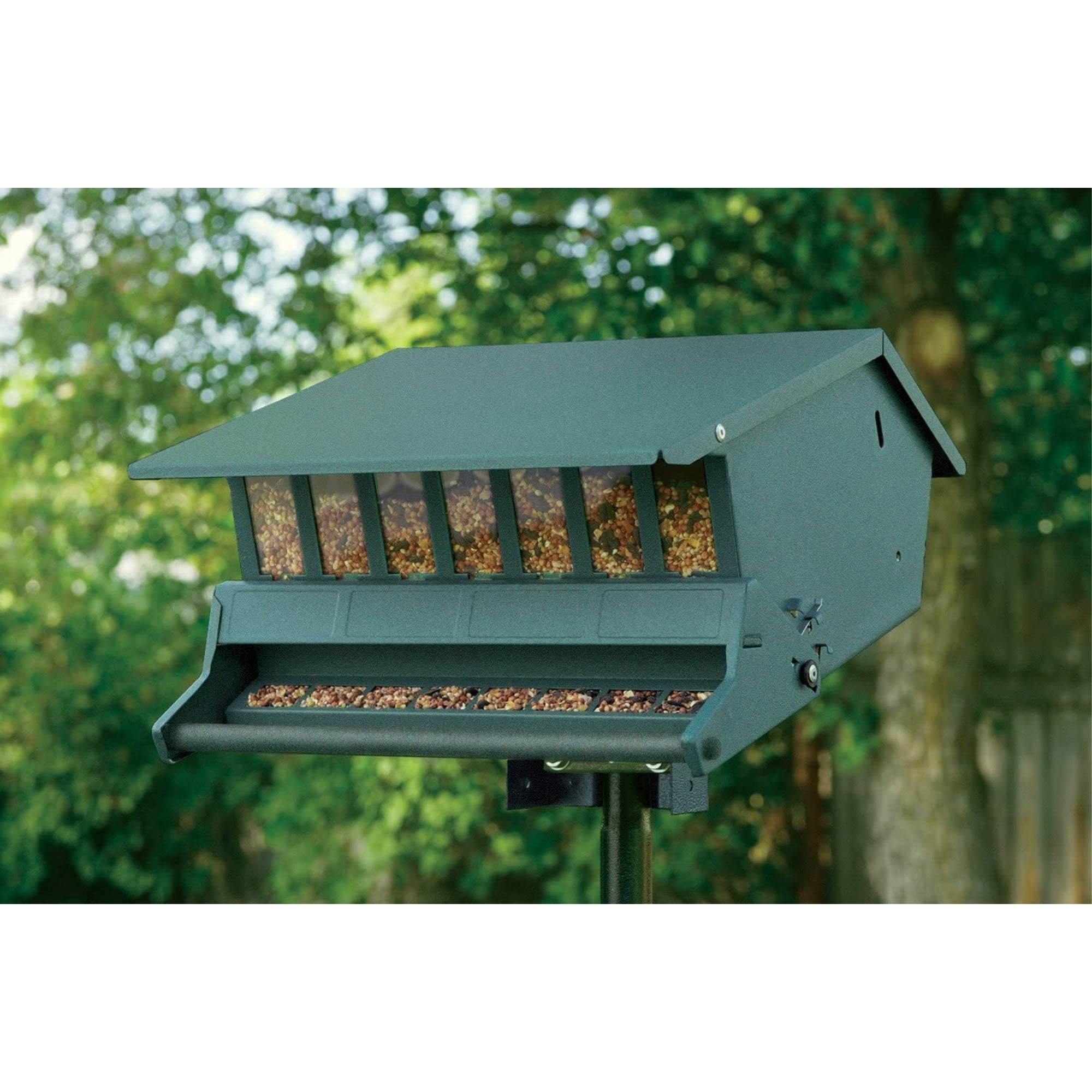 WoodLink Squirrel-Proof Bird Feeder with Weight-Activated Perch (Green, 9 lb Capacity) c7iws