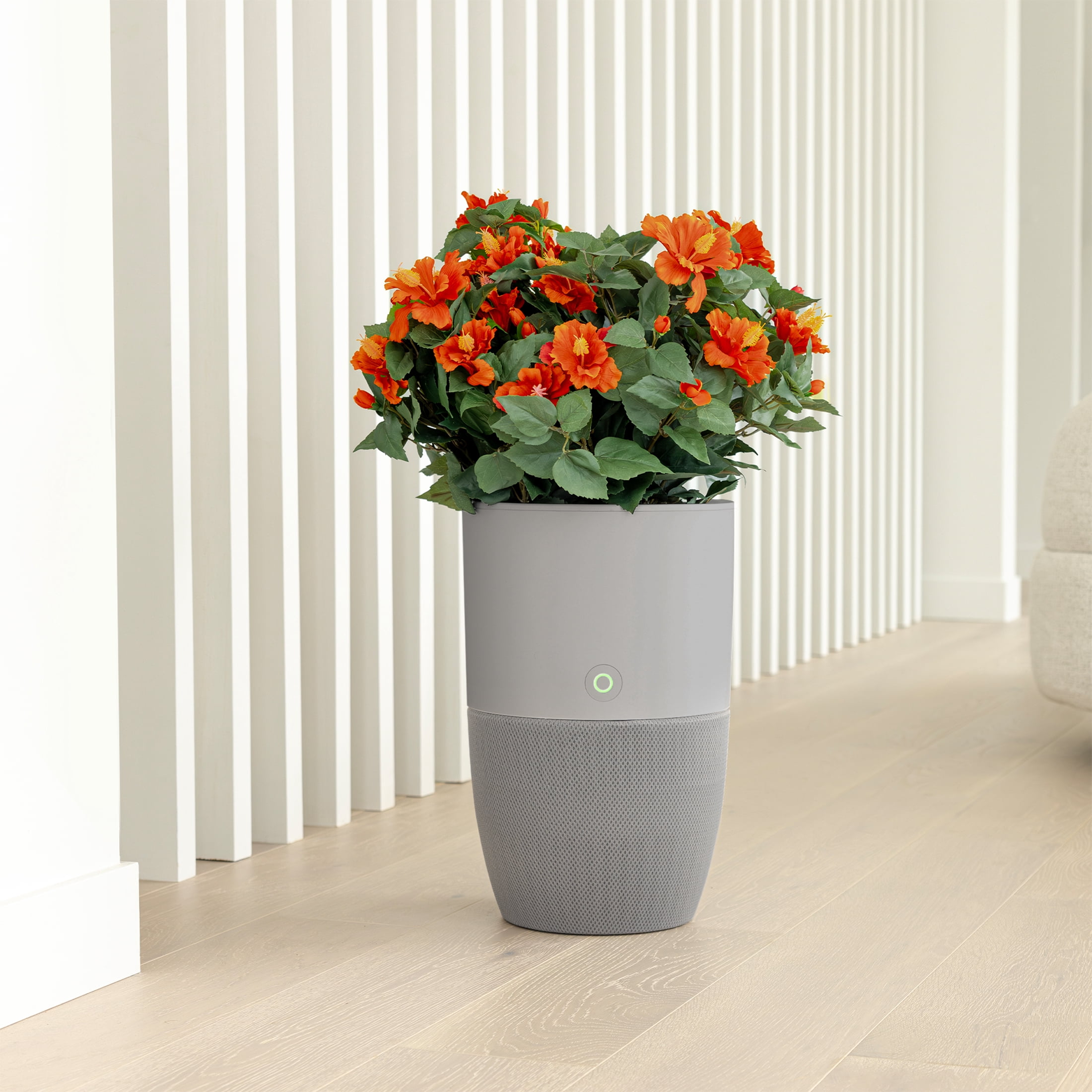 Dupray Bloom Smart Air Purifier for Large Rooms, HEPA-13 Filtration with AutoDetect Technology (Gray, 1517 sq ft) 5km0c