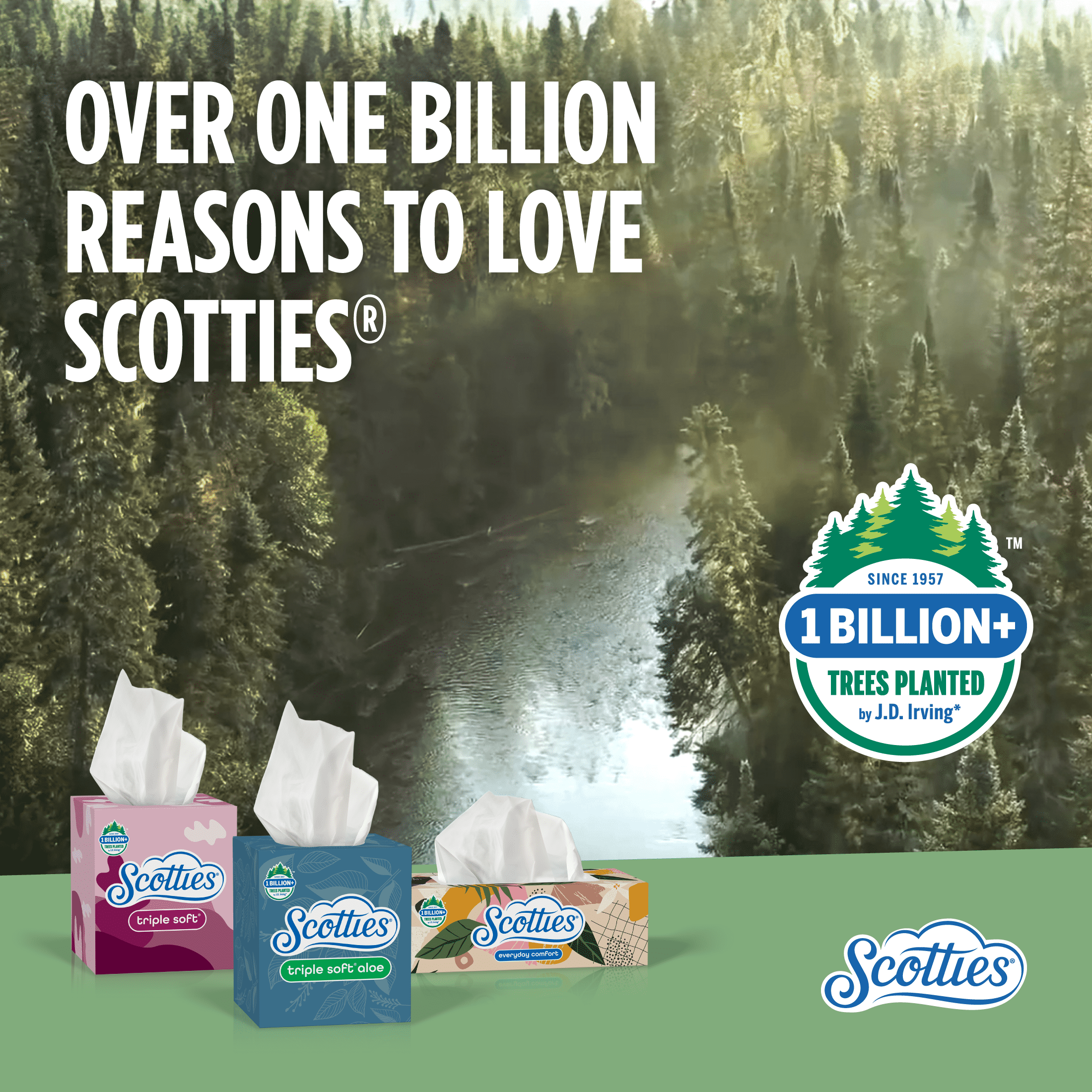 Scotties Everyday Comfort Facial Tissues, 2-Ply Softness, 4 Cube Boxes (256 Total Tissues) k8ty7 - Image 8