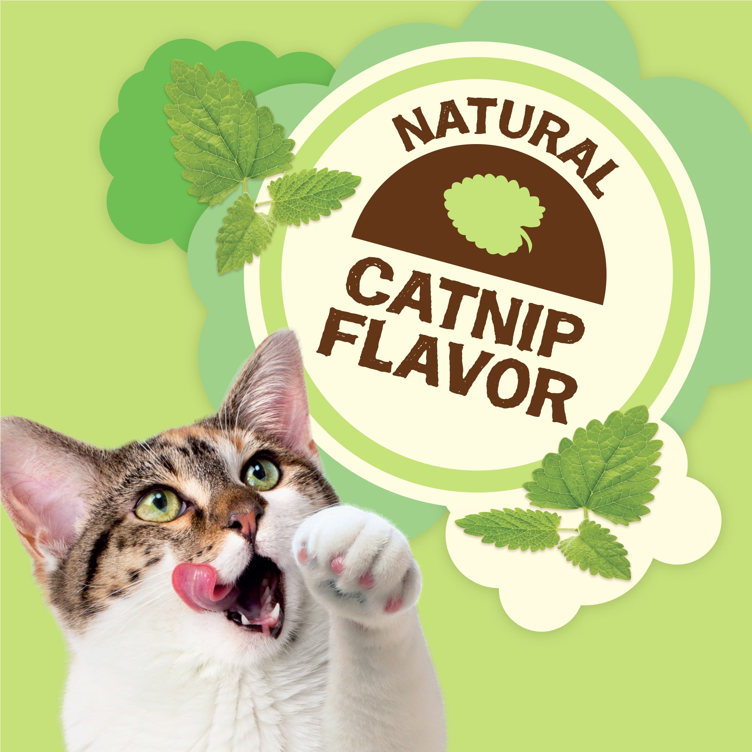 Friskies Party Mix Natural Catnip Flavor Crunchy Cat Treats (20 oz) rauv0