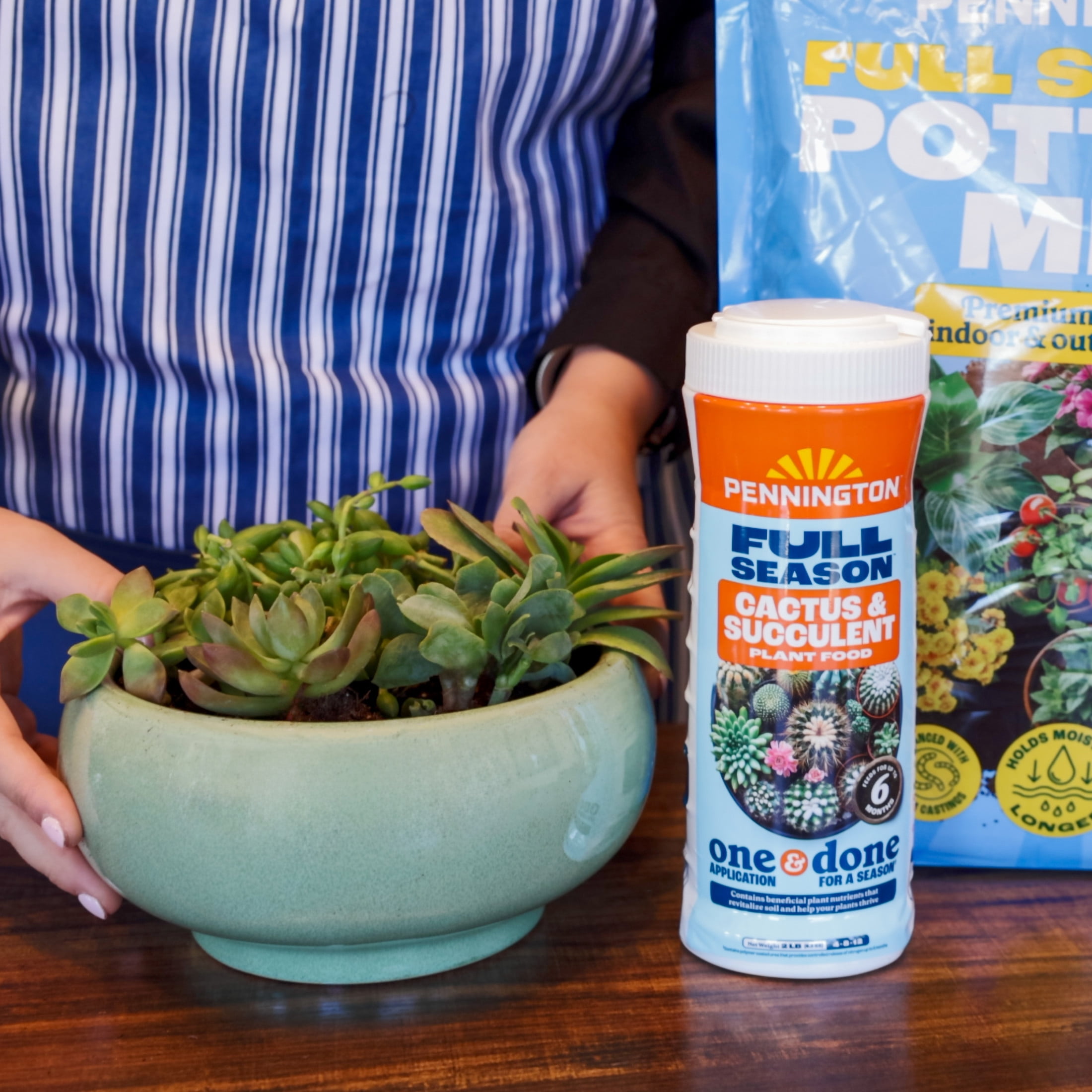 Pennington Cactus and Succulent Plant Food Fertilizer (2 lb) t57af