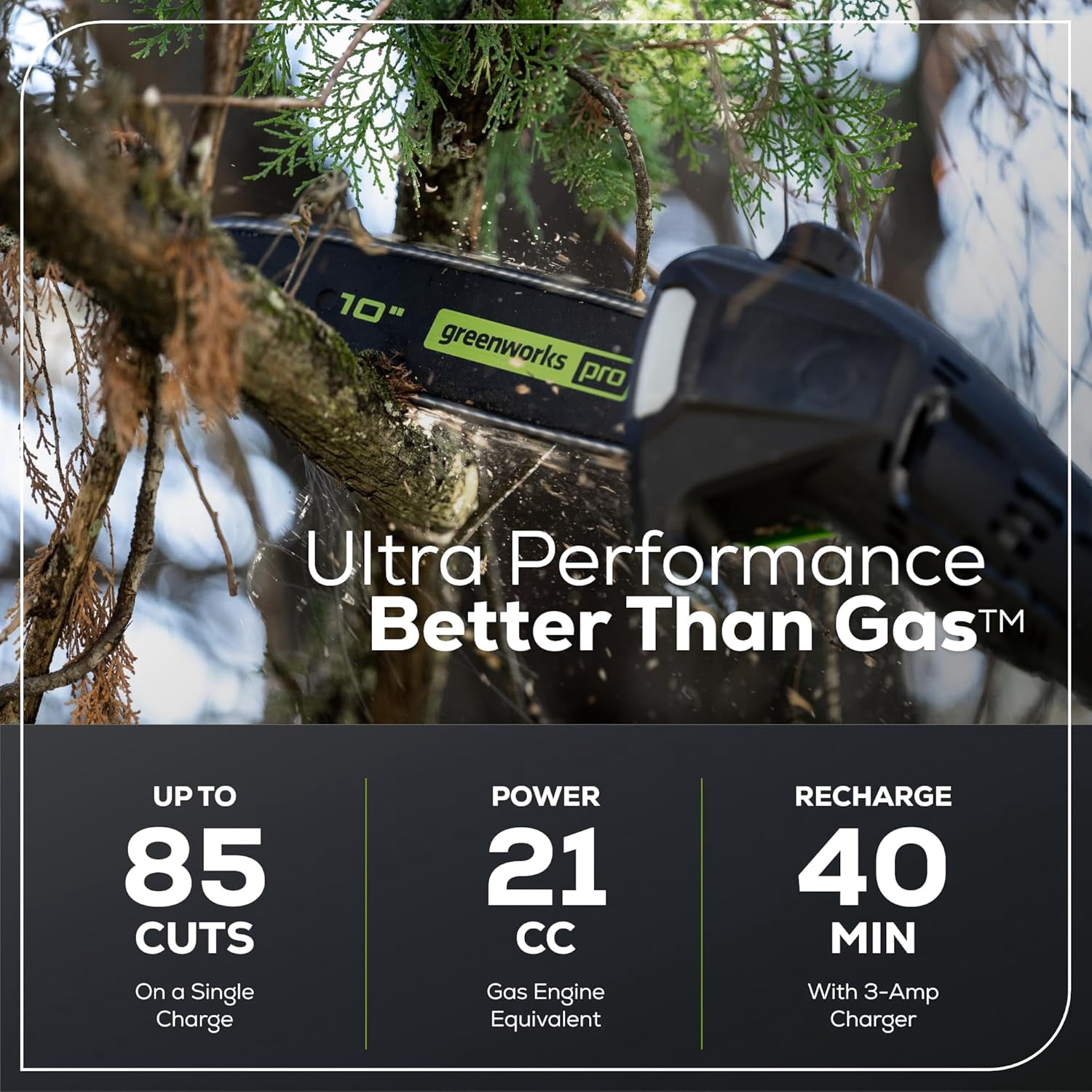 Greenworks 60V 10 in Brushless Cordless Pole Saw with 2.0Ah Battery and Charger (Green, 9 ft Reach) 7e1ly