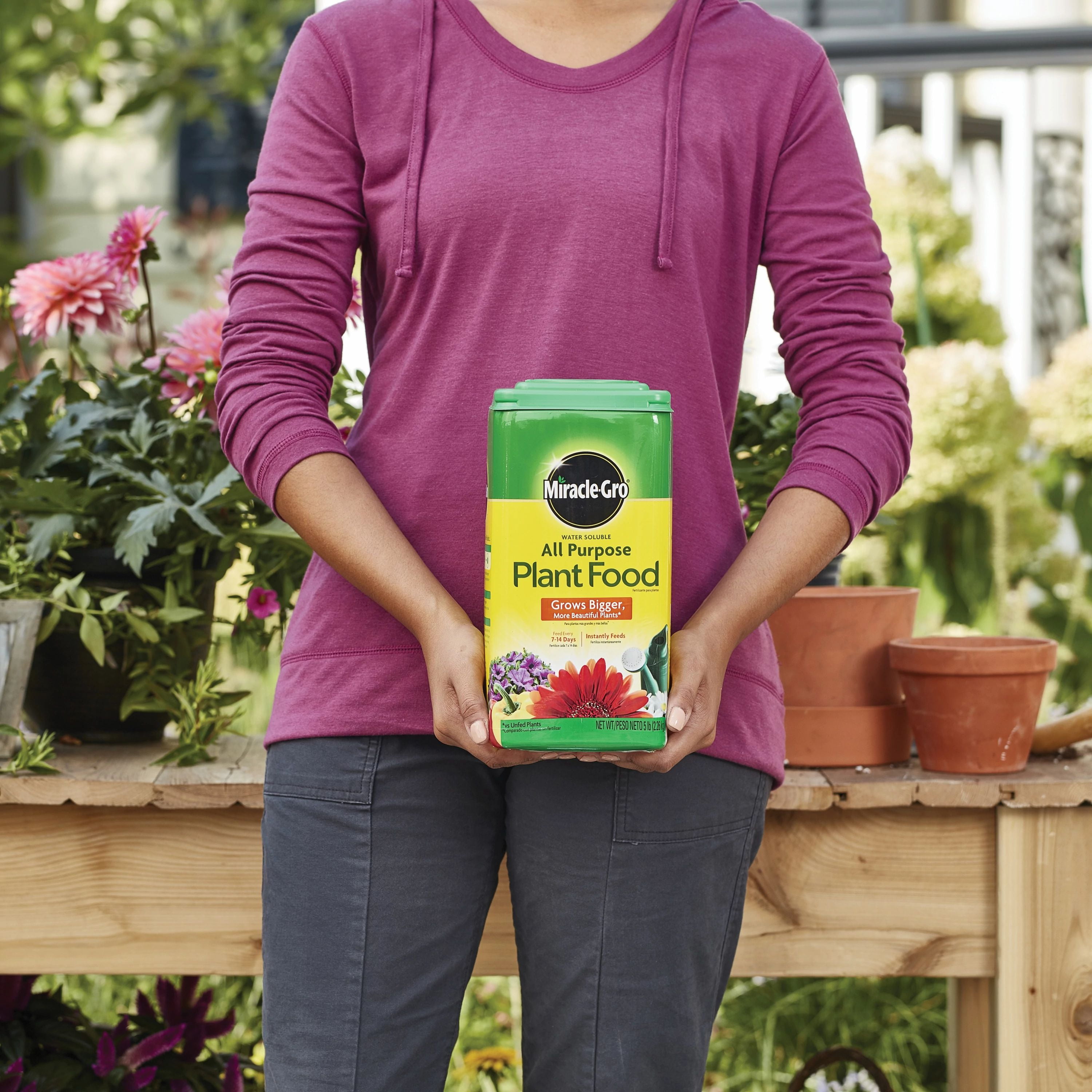 Miracle-Gro Water Soluble All Purpose Plant Food, Nutrient-Rich Fertilizer for Indoor and Outdoor Plants (5 lb) o2tap
