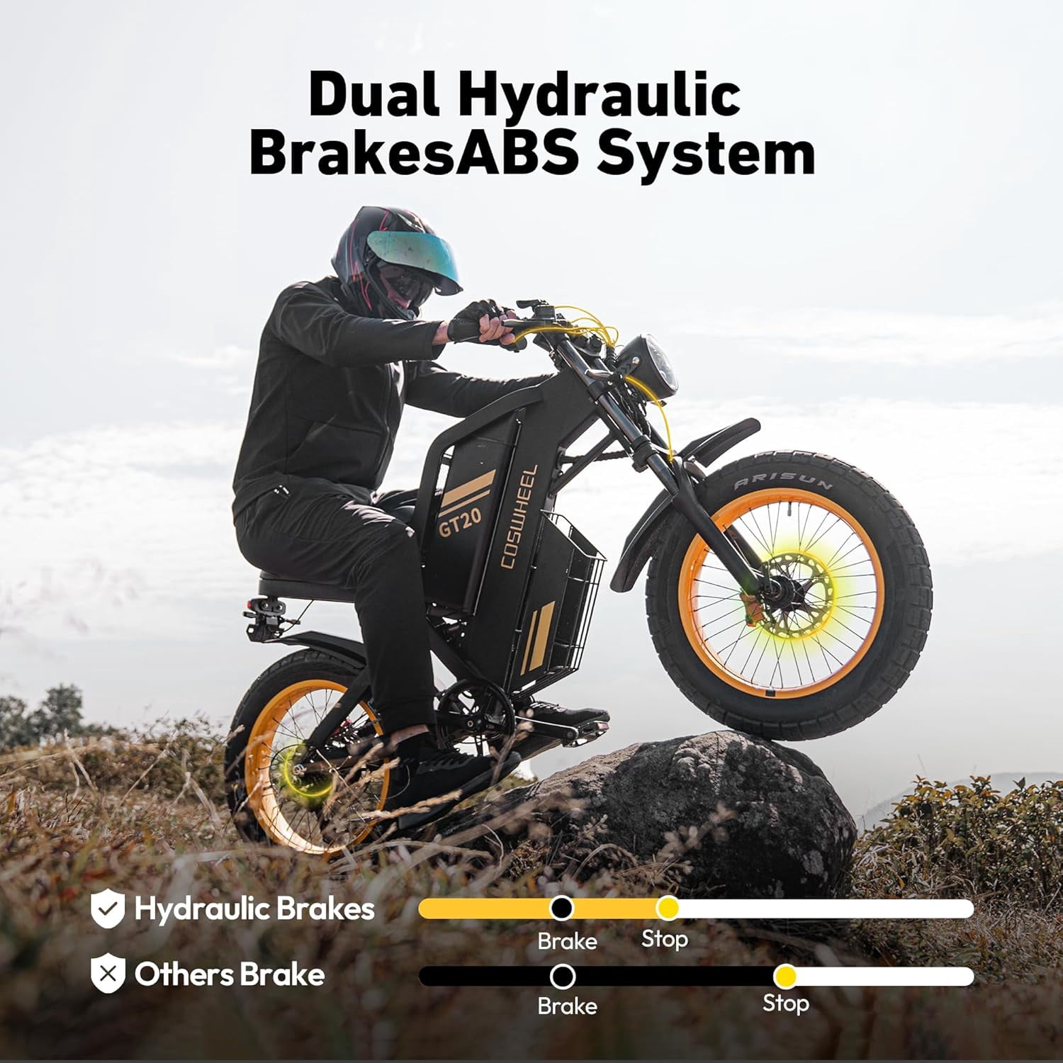 Coswheel GT20 Pro Electric Dirt Bike, 4000W Dual Motor Off-Road E-Bike, Full Suspension, 48V 40Ah Battery, 20 in x 4 in Fat Tires (Black, One Size) gr5iu
