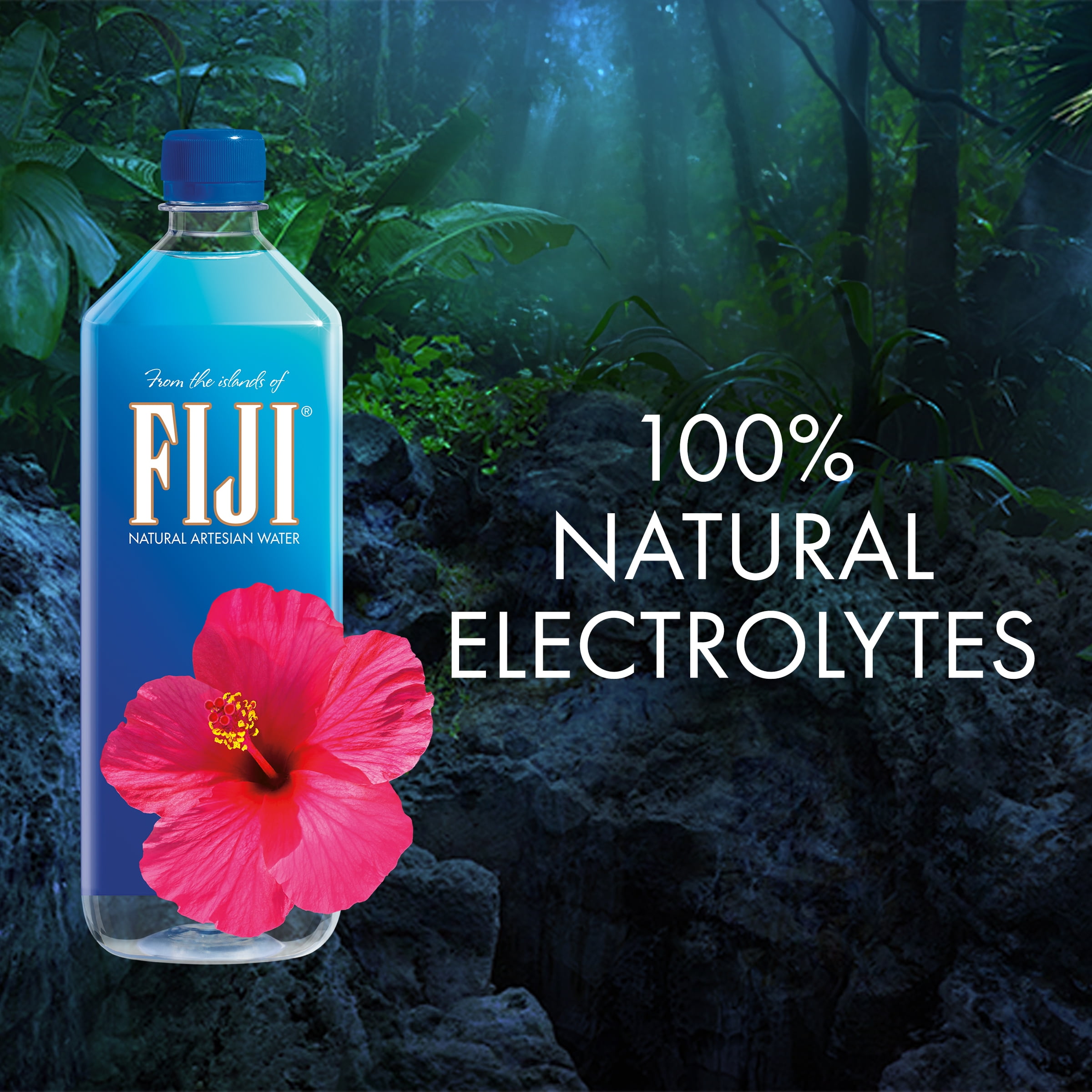 FIJI Natural Artesian Water with Natural Electrolytes (Clear, 33.8 fl oz, Pack of 6) pffzs