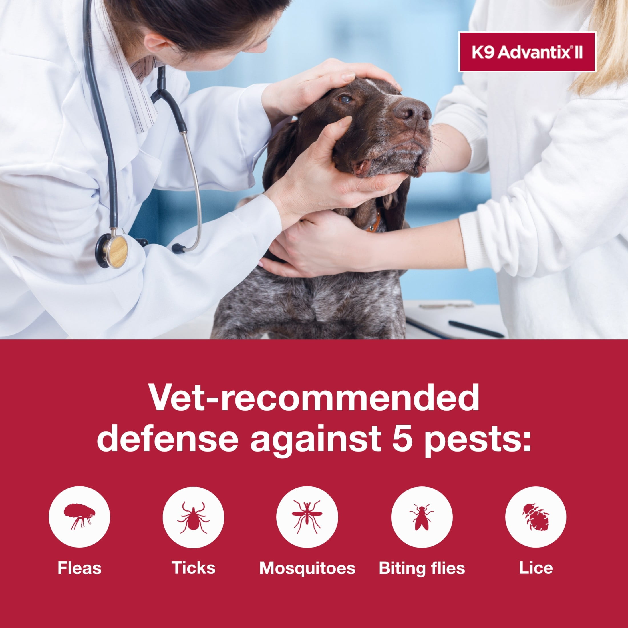K9 Advantix II Flea and Tick Topical Prevention for Extra Large Dogs (55 lbs+, 2-Month Supply) msu2v