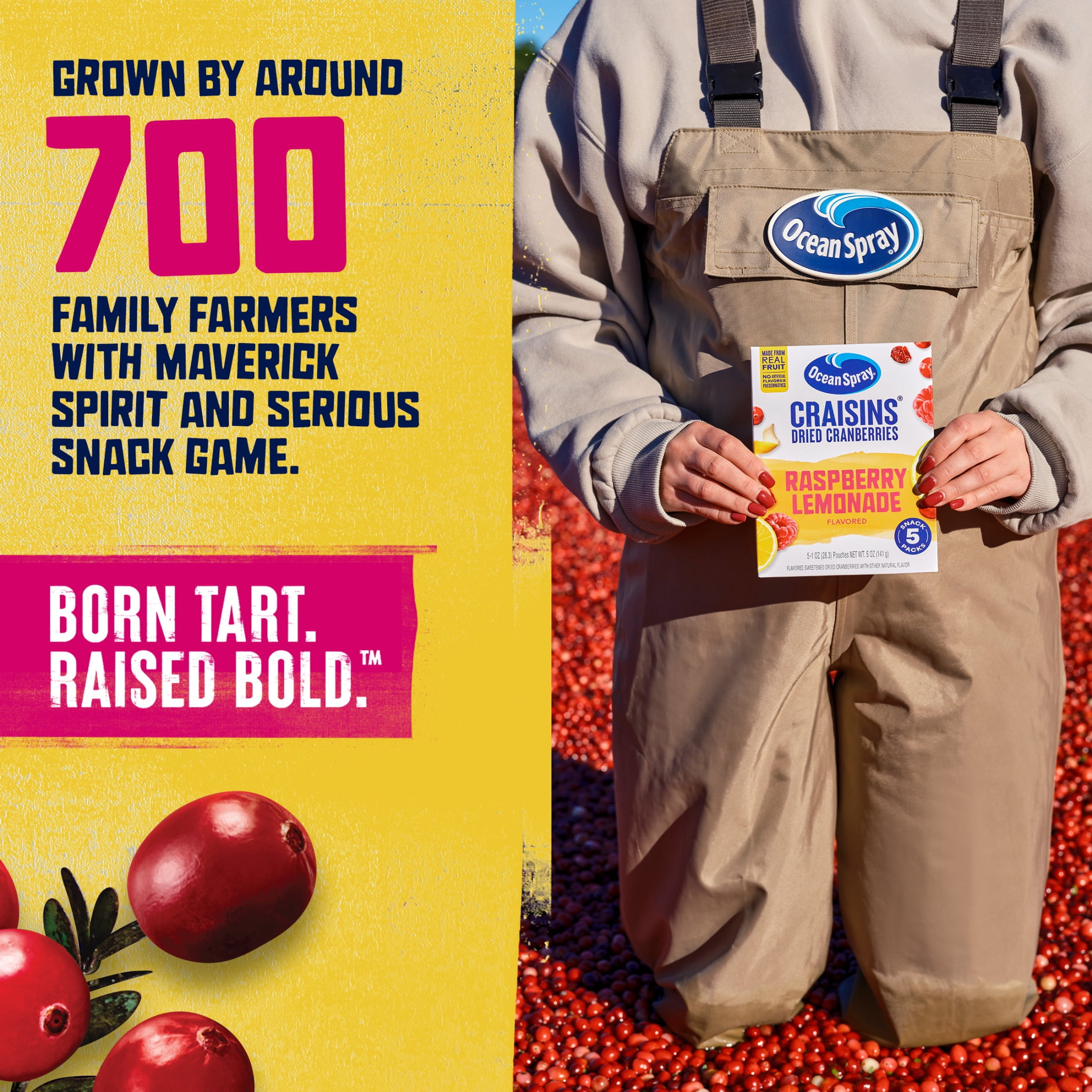 Ocean Spray Craisins Dried Cranberries, Raspberry Lemonade Flavored Fruit Snacks (5 oz, 5-Count) zq0hx