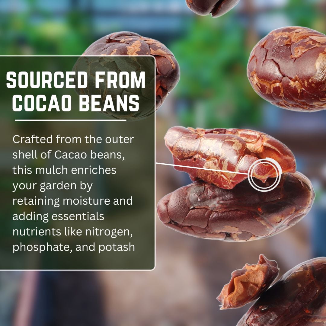 Peppy Plants Organic Cocoa Bean Shell Mulch for Gardens and Potted Plants (Brown, 4 Quarts) 32971