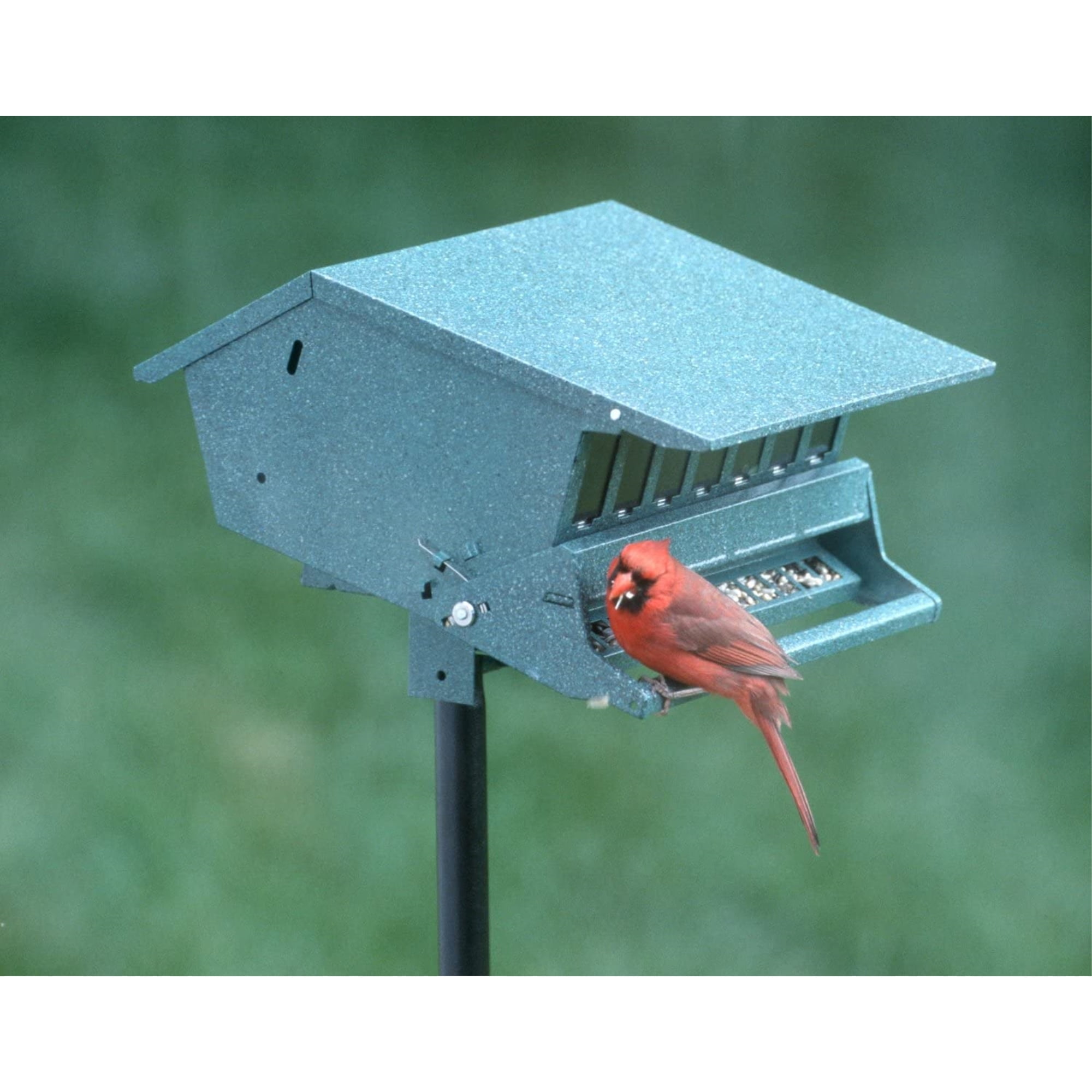 WoodLink Squirrel-Proof Bird Feeder with Weight-Activated Perch (Green, 9 lb Capacity) c7iws