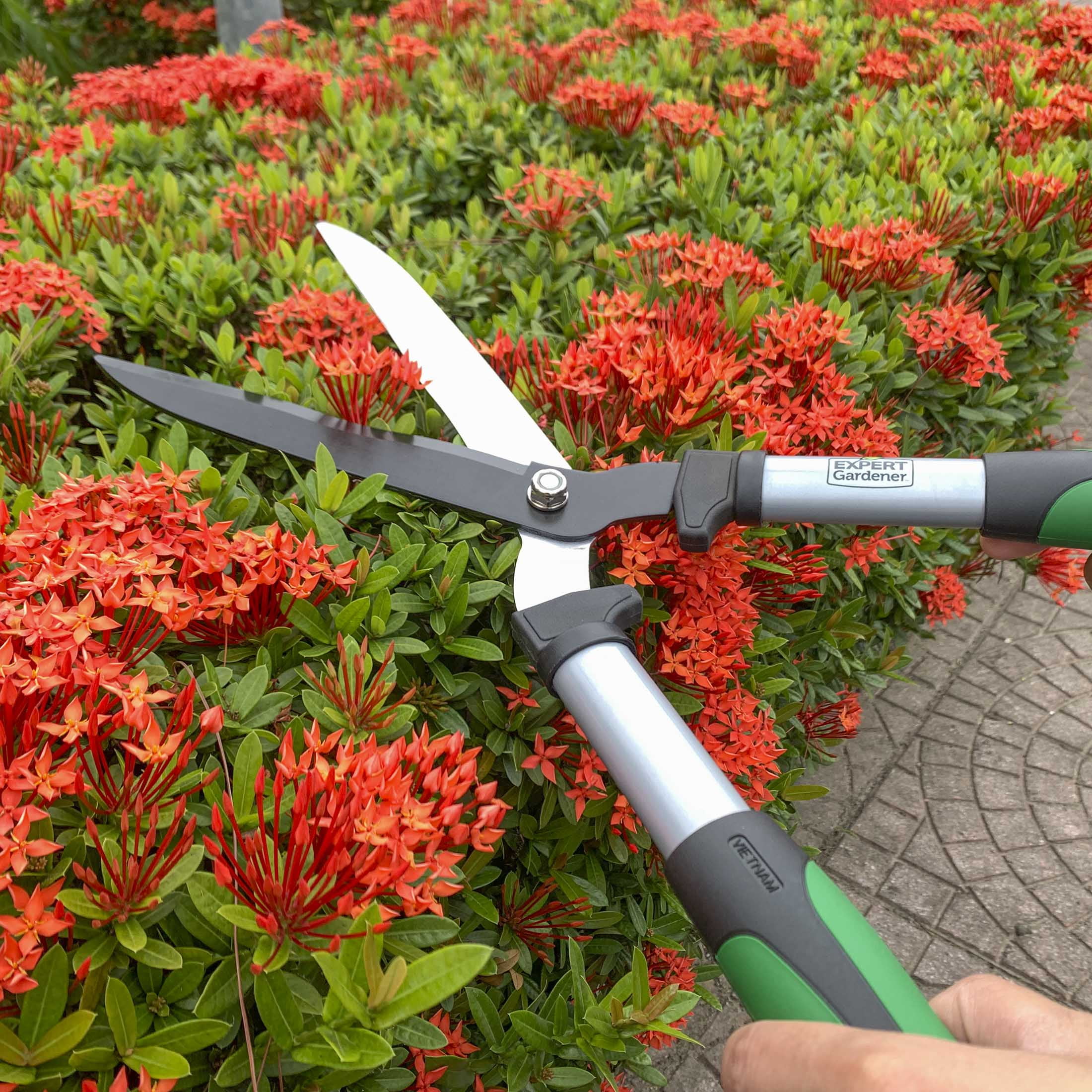 Expert Gardener Hedge Shear Heavy-Duty Gardening Tool (Green and Black, 20 in) l3hmu