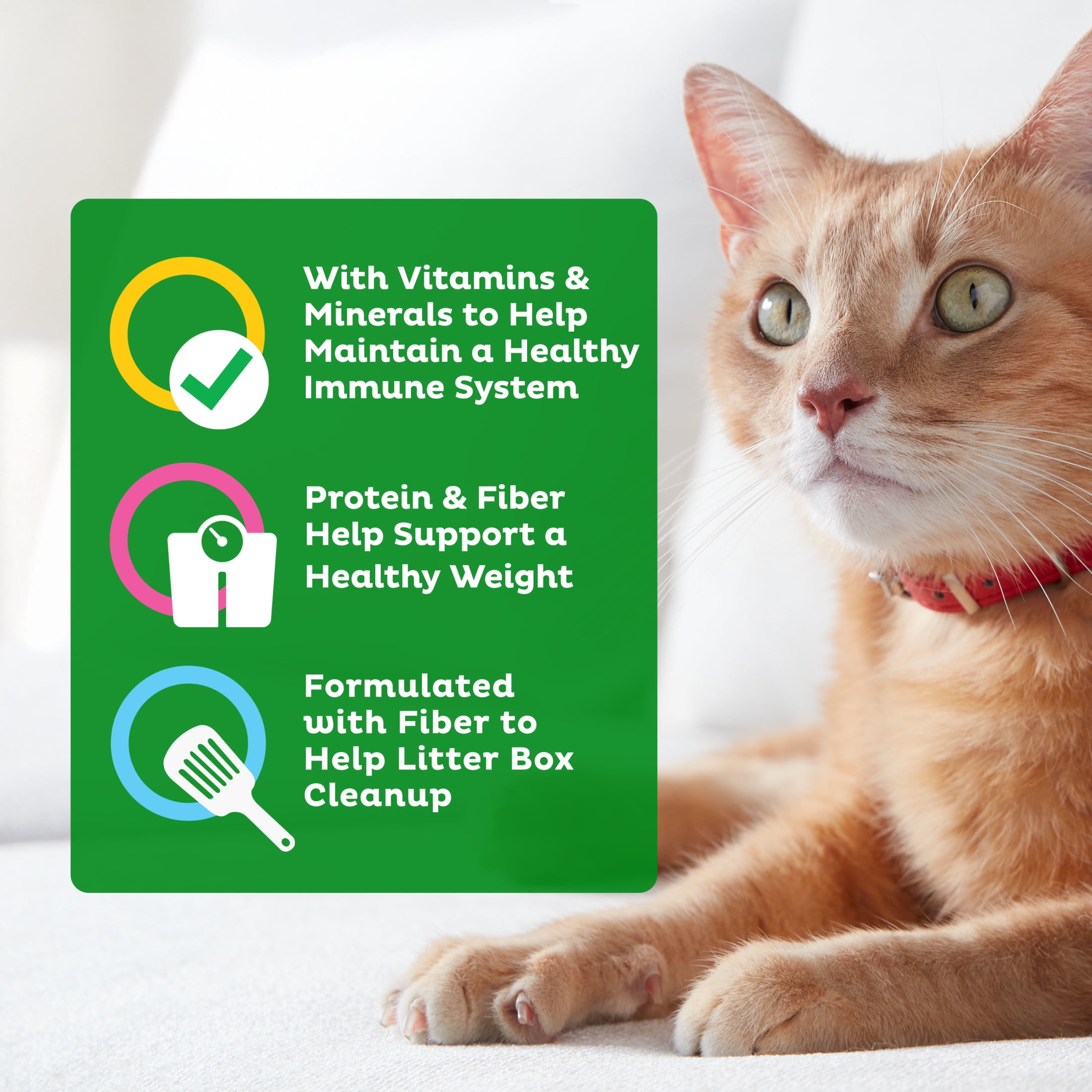 9Lives Indoor Essentials Dry Cat Food, Chicken & Salmon Flavor (20 lb) q7qku