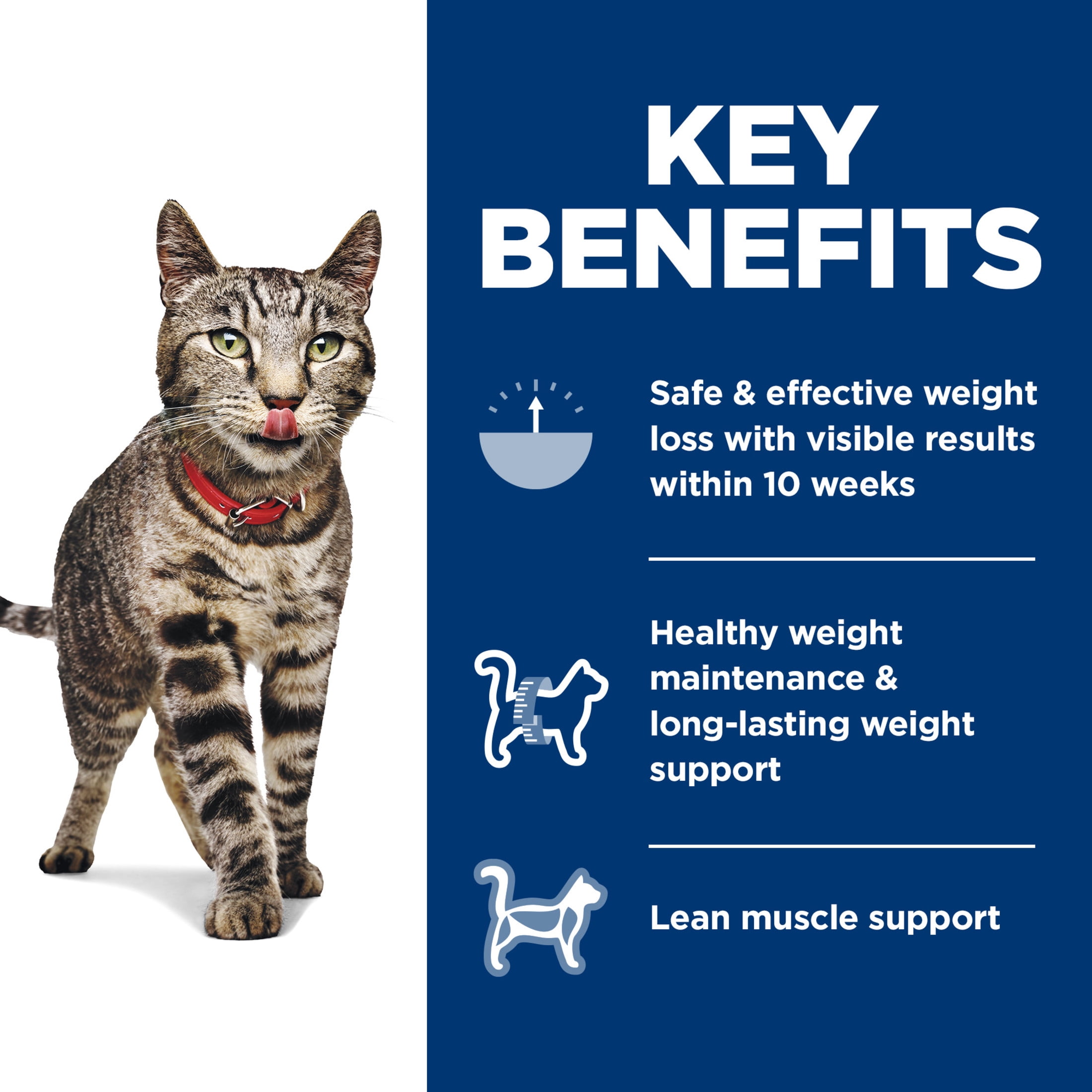 Hill's Science Diet Perfect Weight Chicken Recipe Dry Cat Food (7 lb) 9rfol