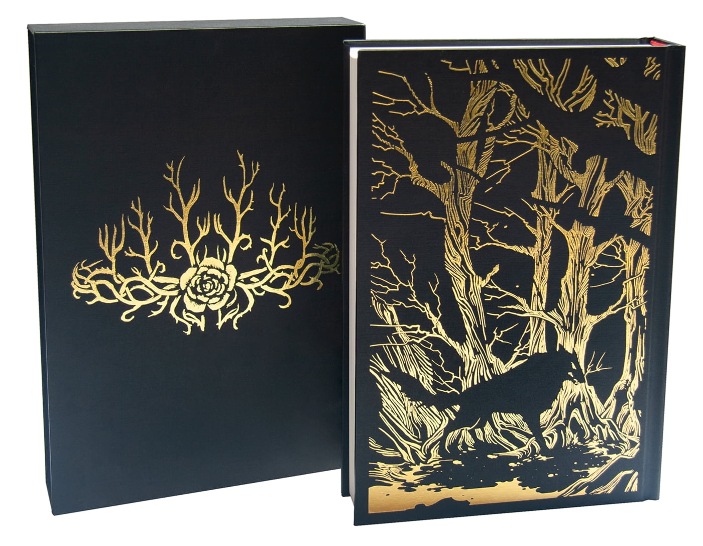 Sarah J. Maas A Court of Thorns and Roses Collector's Edition (Hardcover, 1 Pack) uctoz
