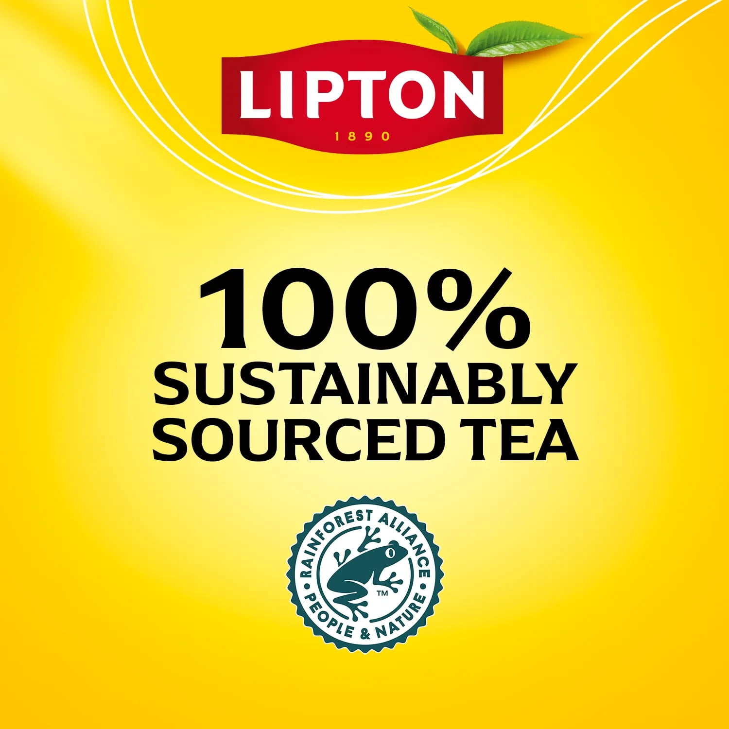 Lipton Black Tea Bags (Black, 240 Count) fzmme