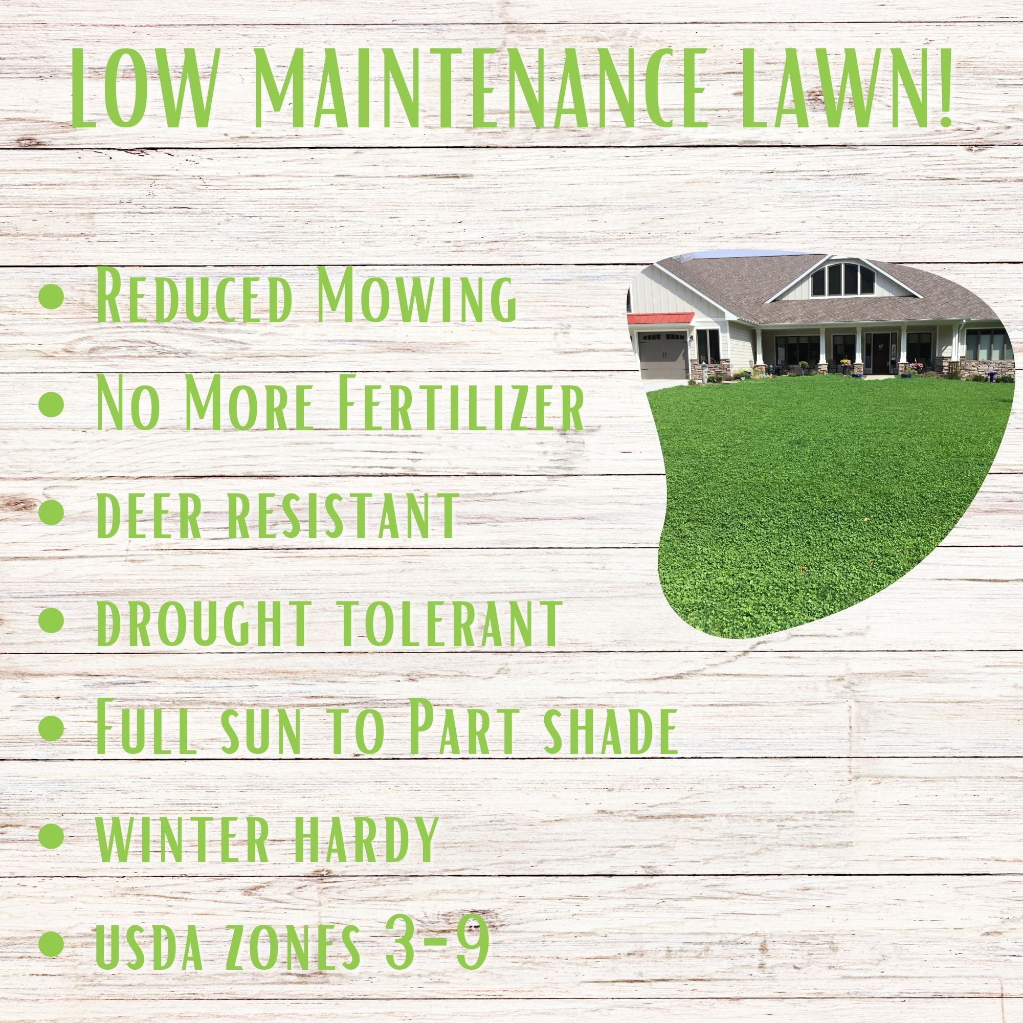 Flawn Seed Kits Micro Clover Lawn Growing Kit (Low Maintenance Ground Cover, 500 sq ft) 7gwkx