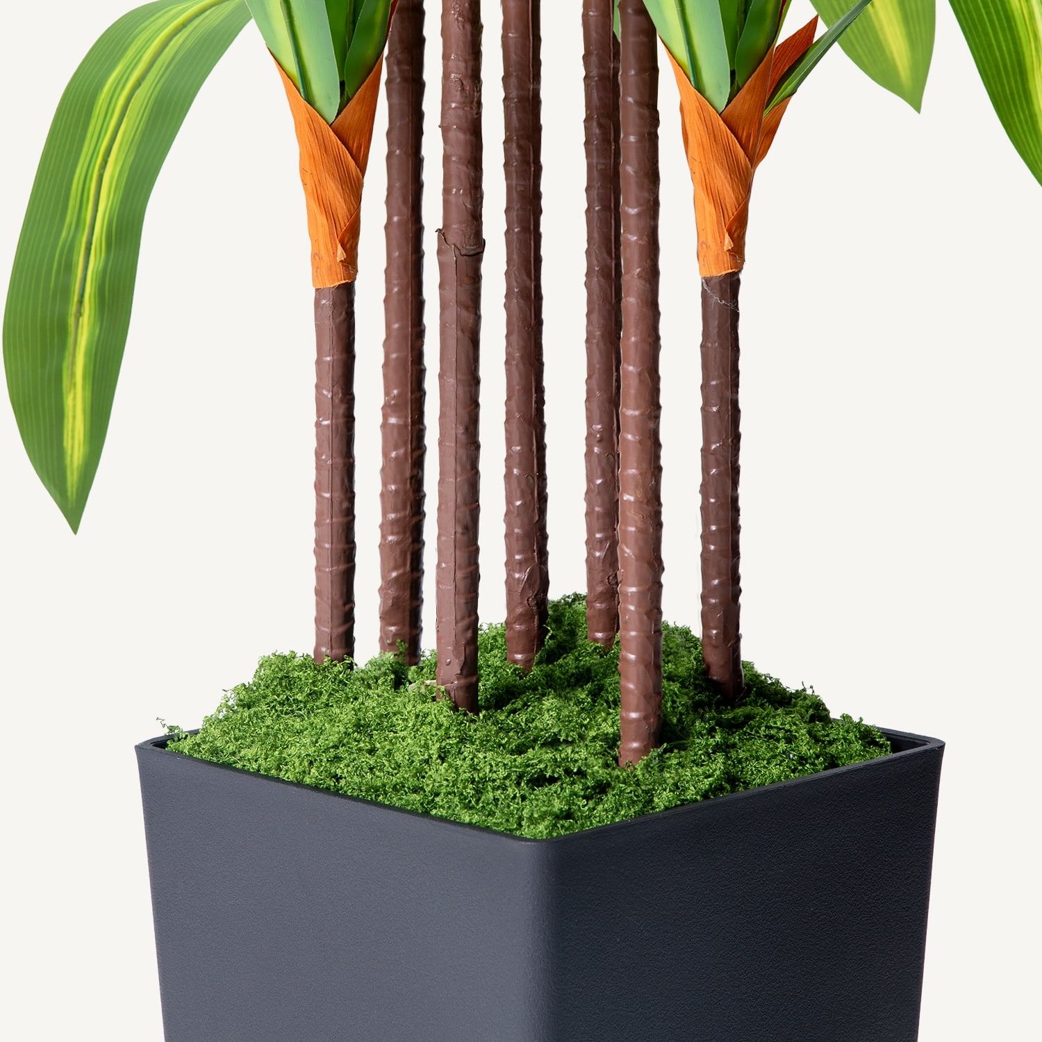 NOVAROOT Artificial Dracaena Tree, Faux Tropical Floor Plant with Black Planter (5 ft) 4hxx9