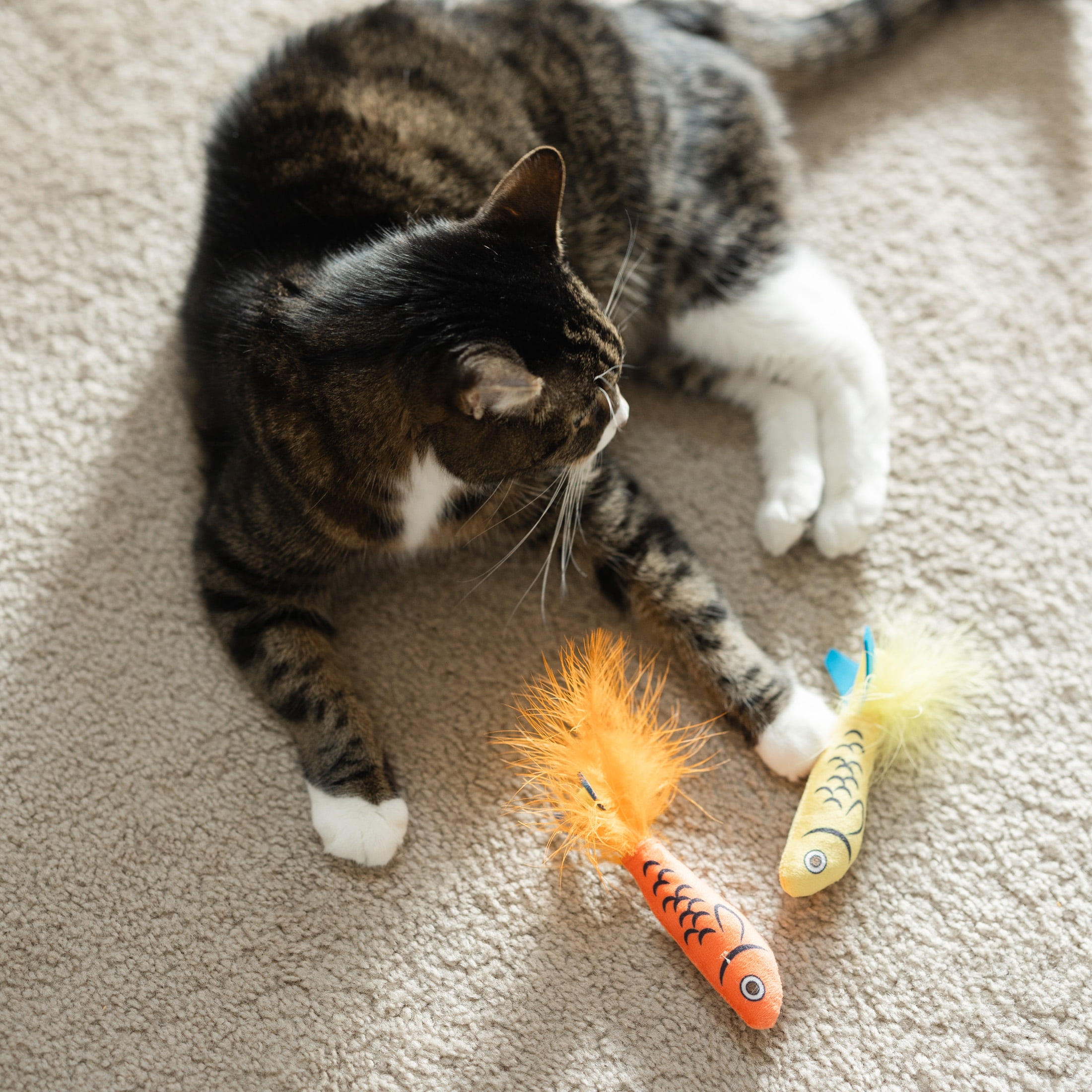 Vibrant Life Sardine Explosion Cat Toys with Catnip (Blue, 3 Pack) ijjq2