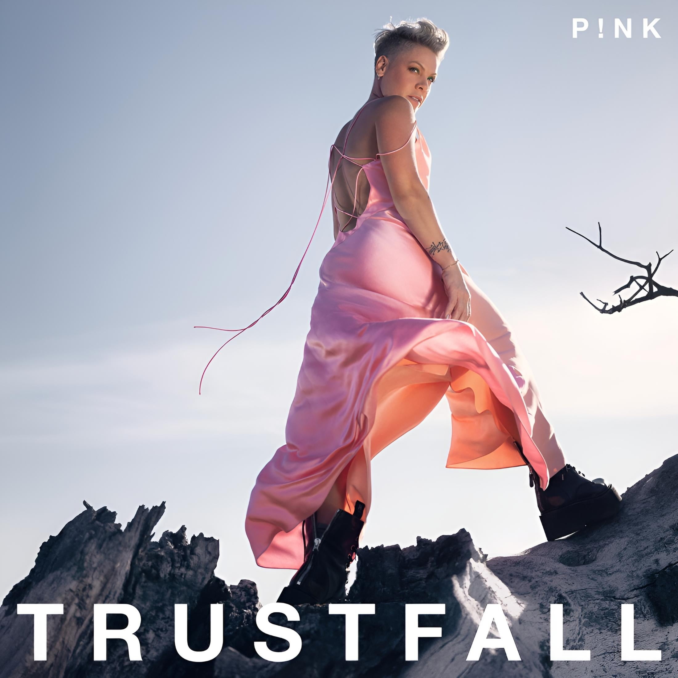 RCA P!nk Trustfall Audio CD (Pink, 1 Disc) h5dtz