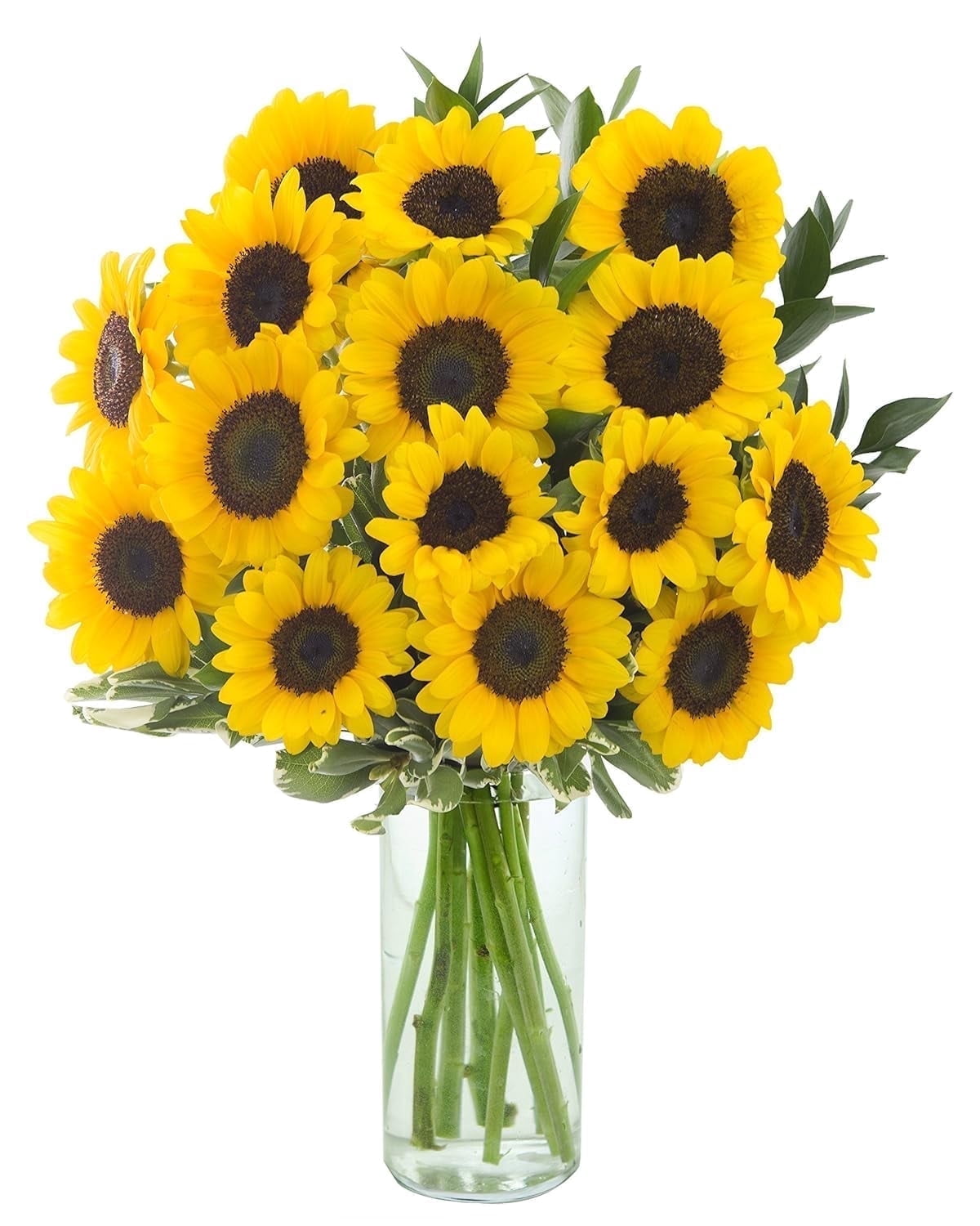 KaBloom Fresh Sunflower Bouquet (Yellow, 15 Stems) 6503z