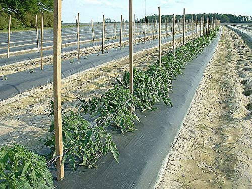 UCATQ Embossed Plastic Mulch Film for Weed Control (Black, 4 ft x 2400 ft) 7bb2r