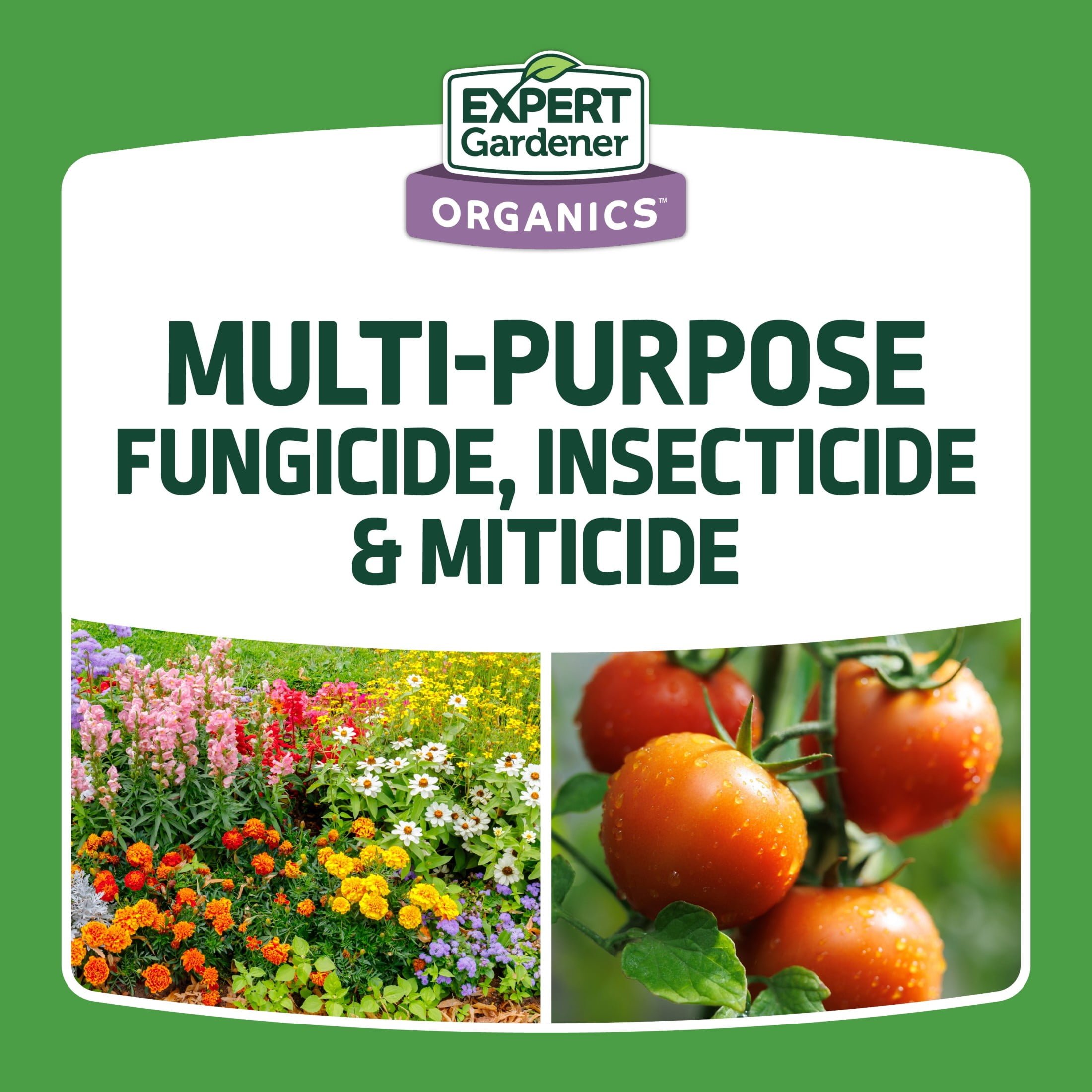 Expert Gardener Neem Oil Ready to Use Insecticide Fungicide and Miticide (32 fl oz) yqe5y
