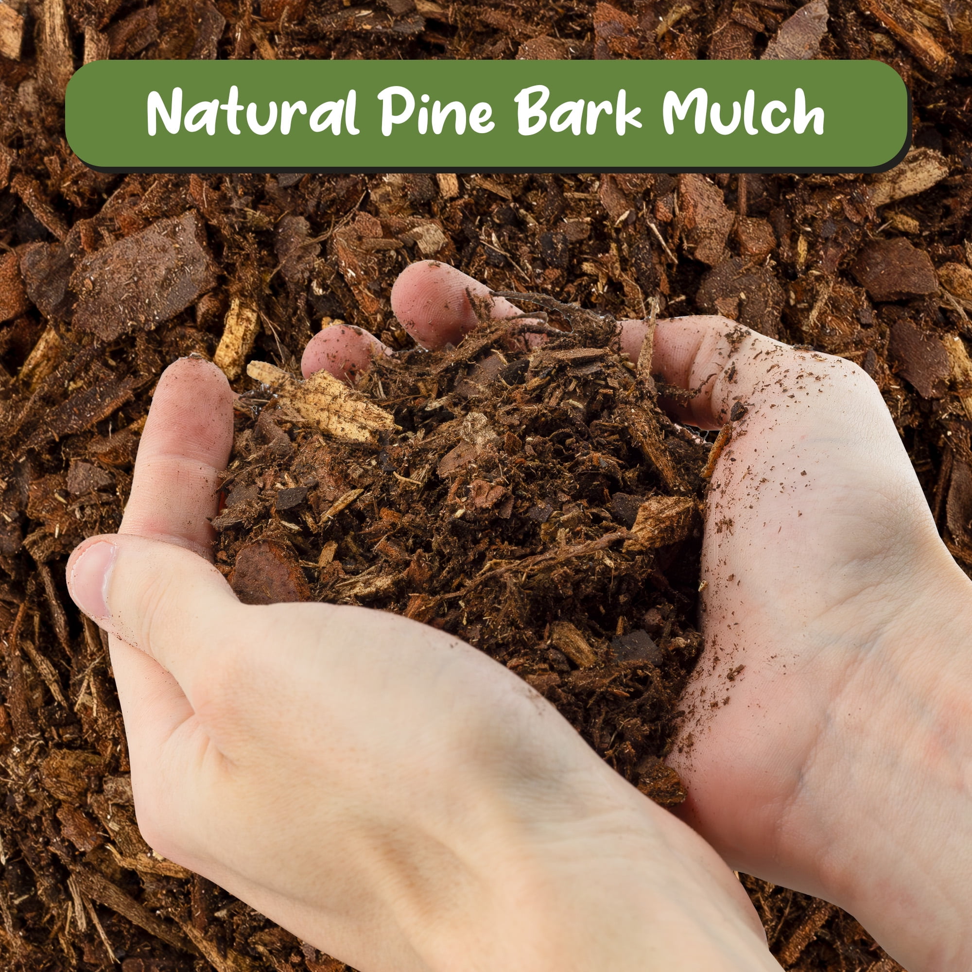 Soil Sunrise Natural Pine Bark Mulch Nuggets for Gardening and Terrariums (Brown, 12 Quarts) qdbsn