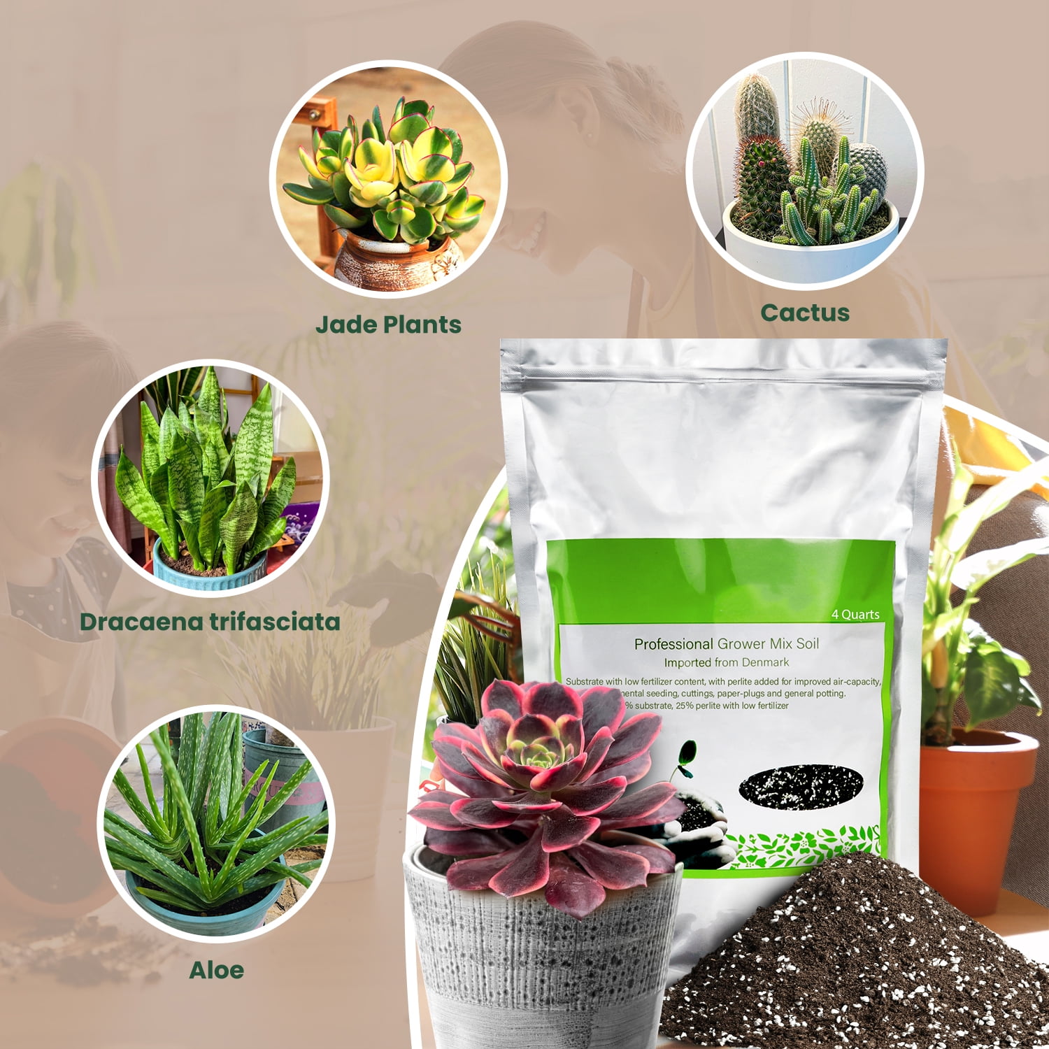 Thenextgardener Succulent and Cactus Soil Potting Mix, Fast Draining Organic Blend for Indoor and Outdoor Bonsai (4 qt) bhv5o