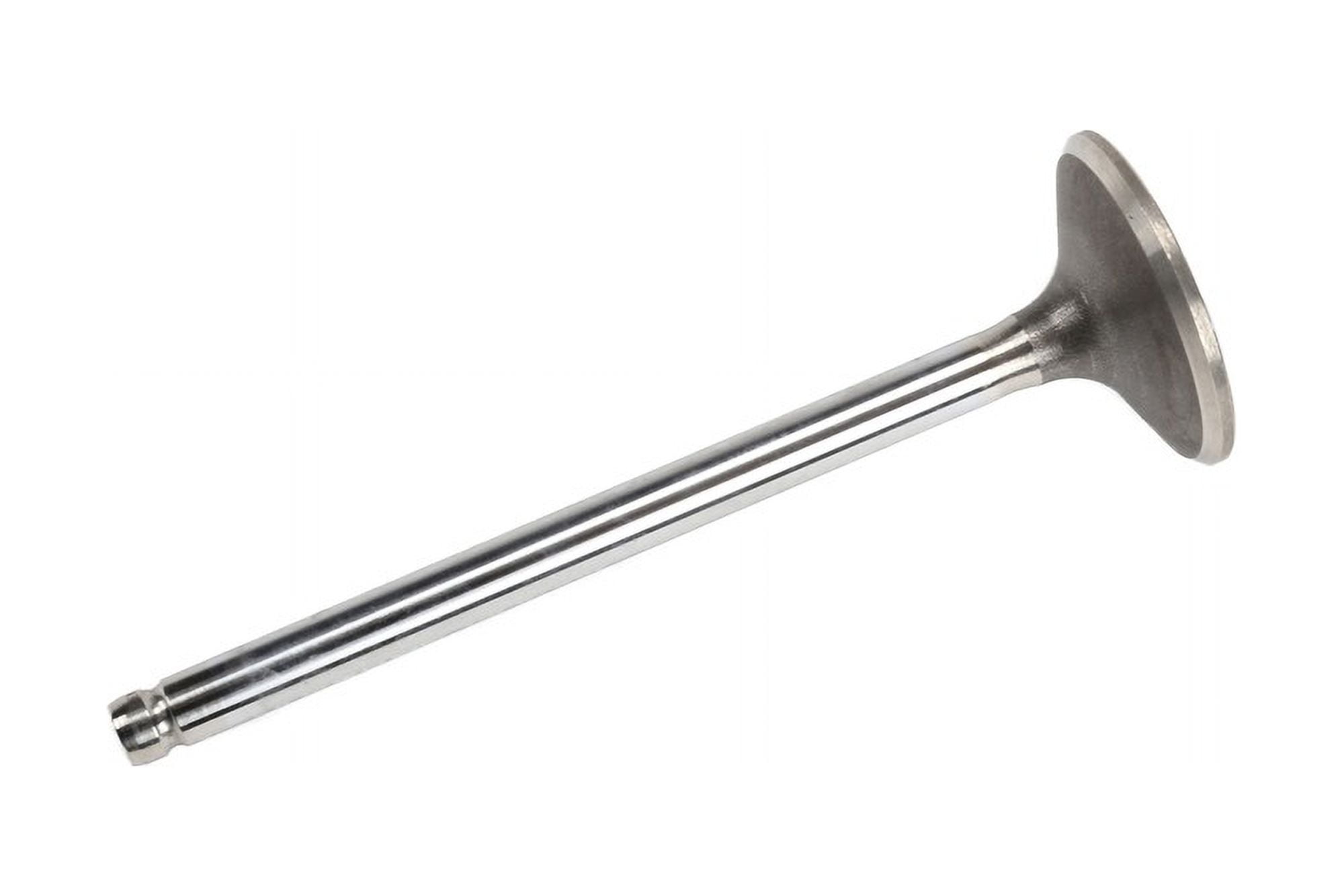 GM Genuine Parts Engine Exhaust Valve (12612427) 7pjcm