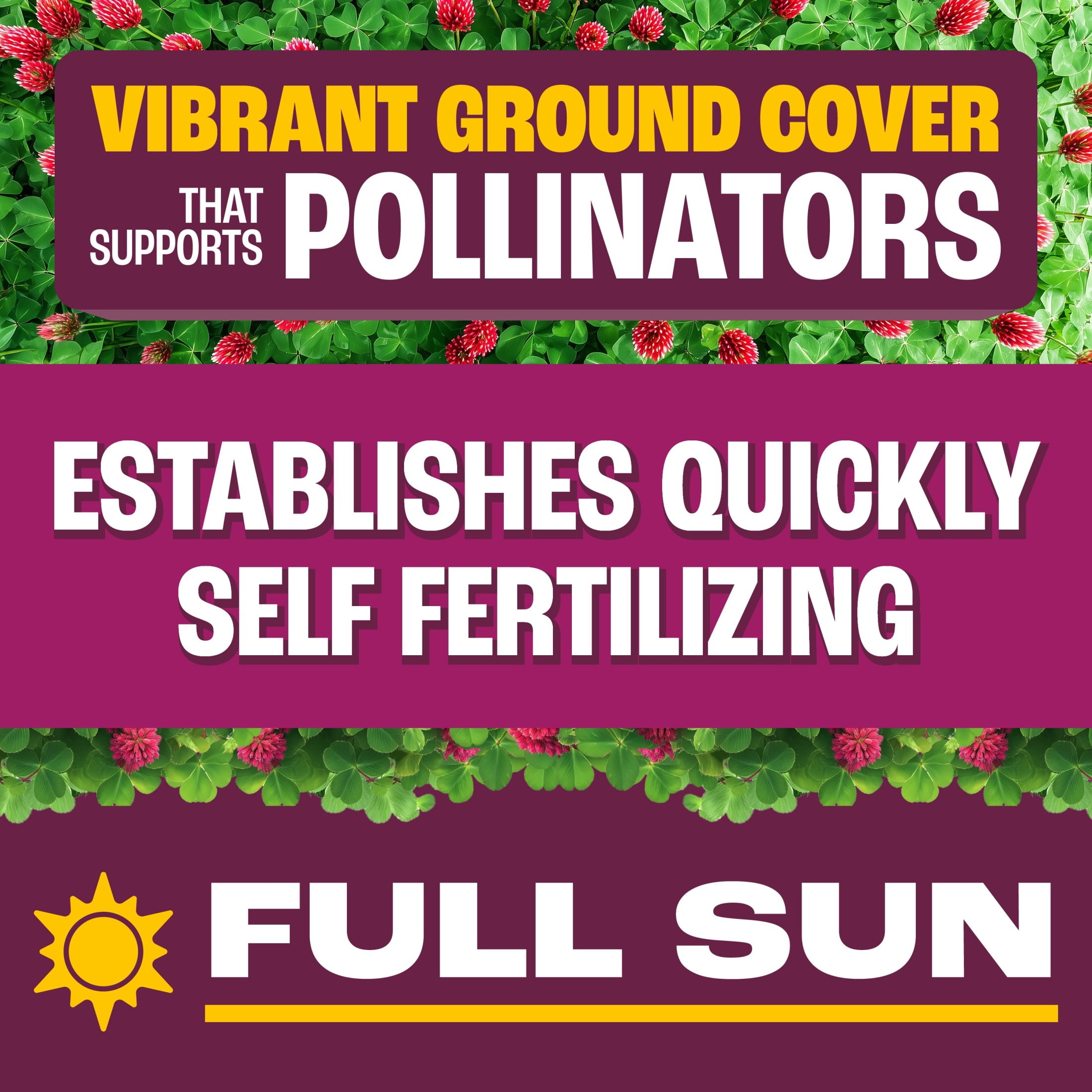 Pennington Crimson Clover Seed (2 lb) t0y1x