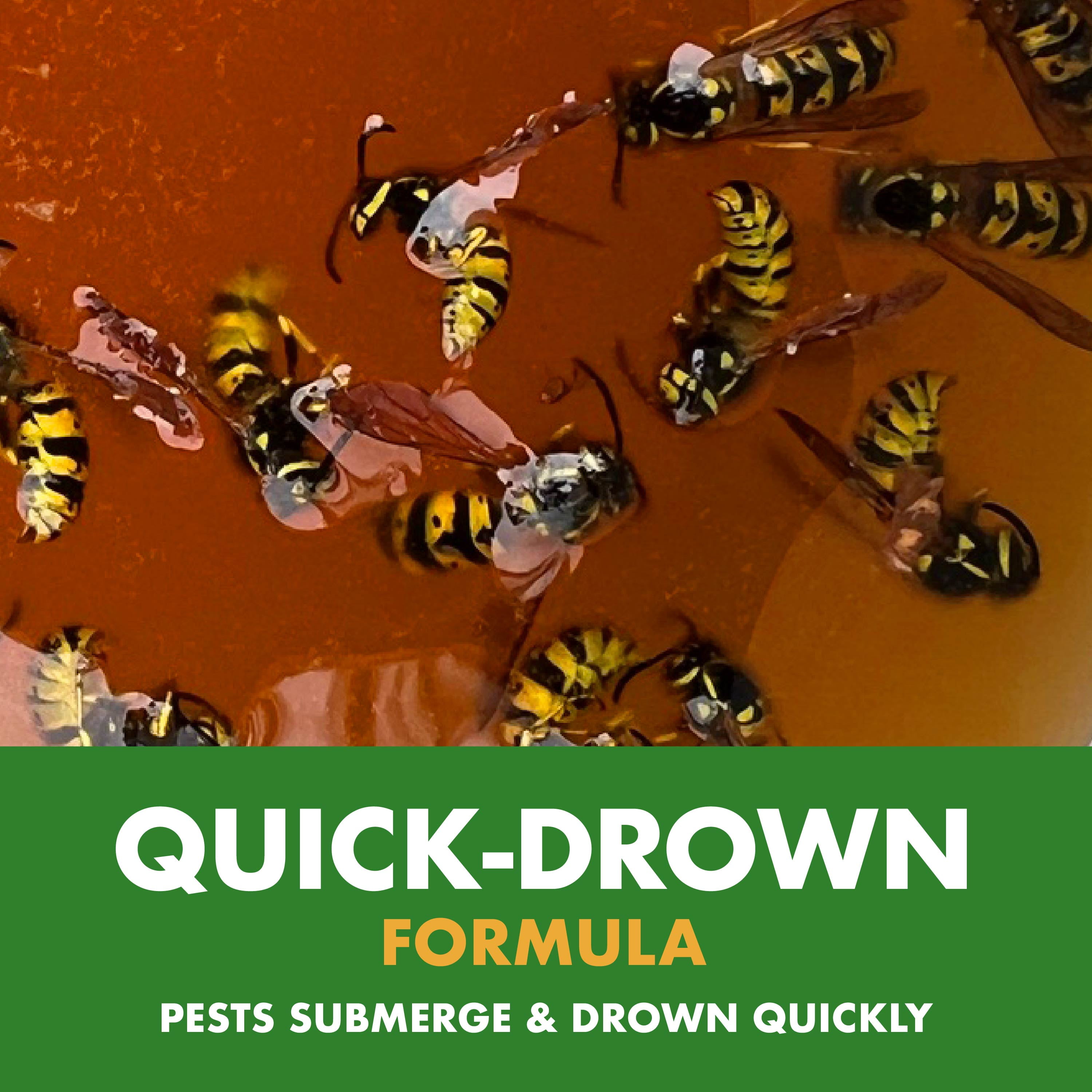 Spectracide Wasp, Hornet and Yellowjacket Trap, Quick-Drown Formula (1 Count) 5c723