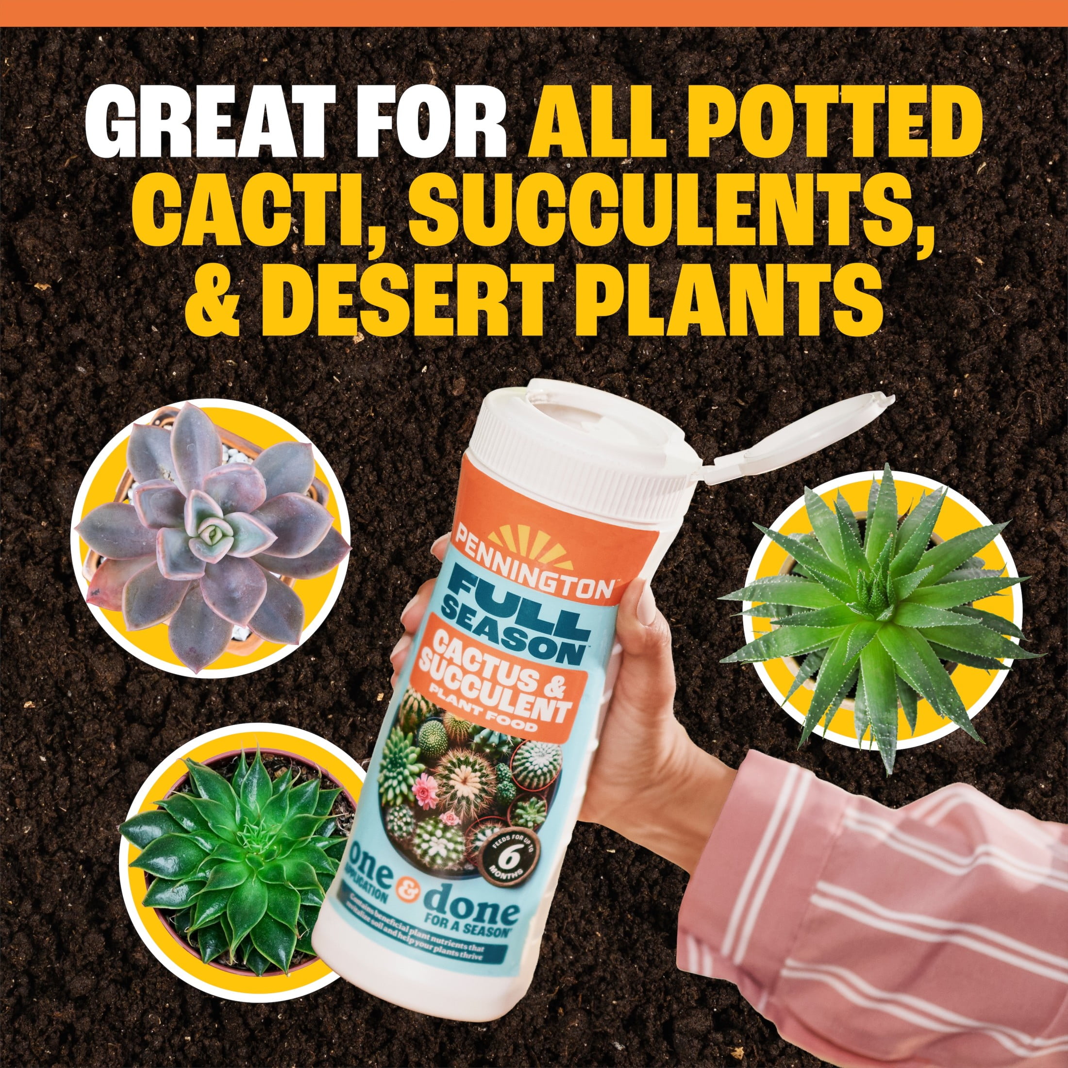Pennington Cactus and Succulent Plant Food Fertilizer (2 lb) t57af