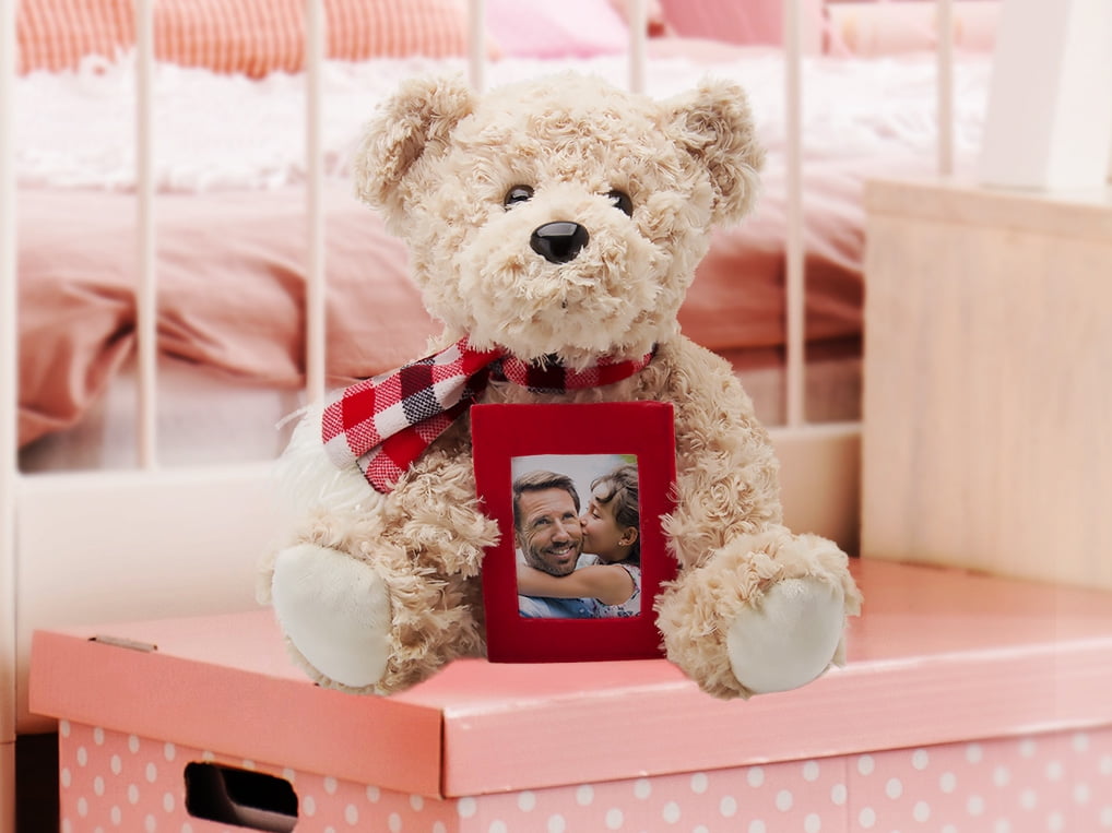 Fine Photo Gifts Plush Teddy Bear with Picture Frame (Tan, 9.75 in x 8.5 in x 8 in) l8ahf