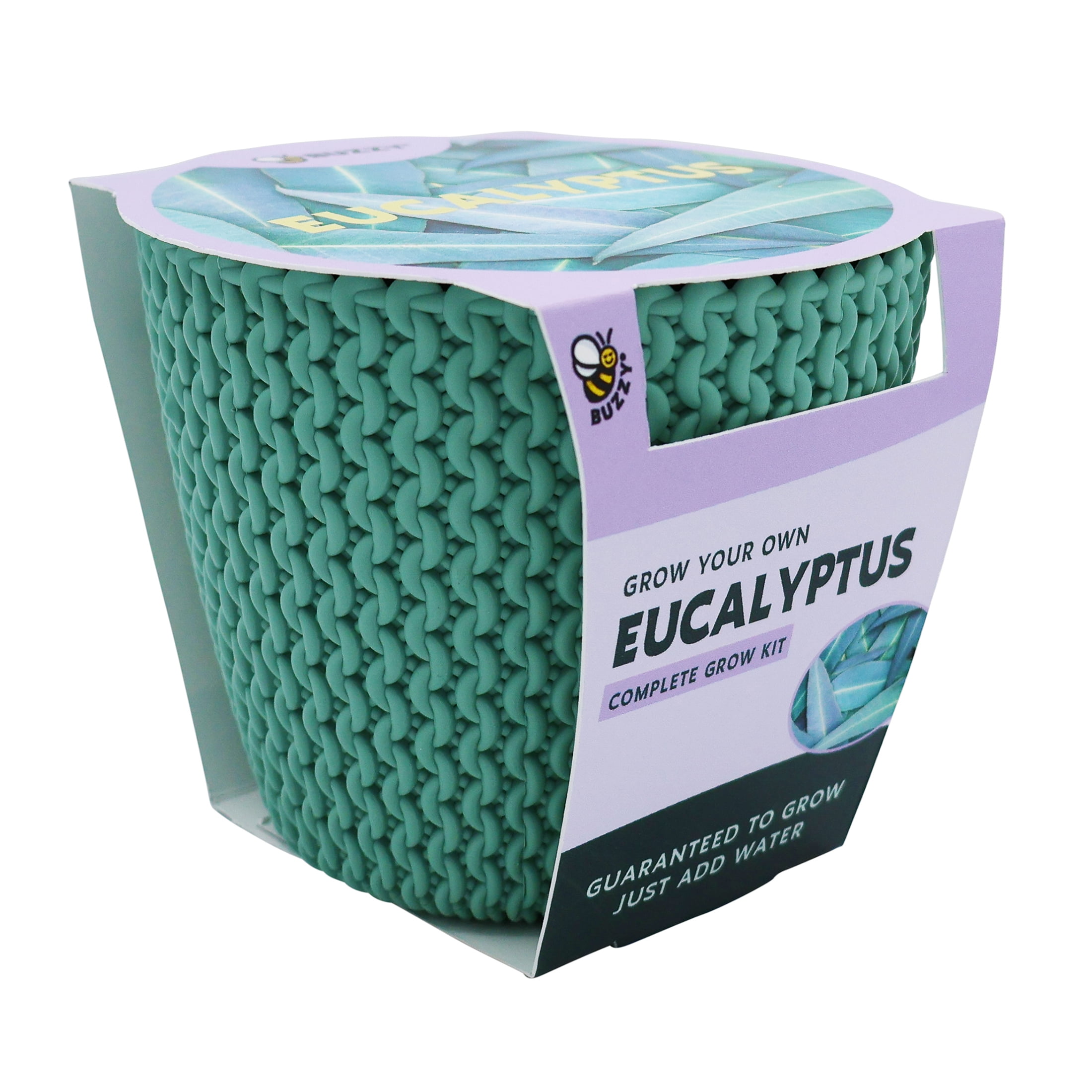 Buzzy Eucalyptus House Plant DIY Growing Kit (Woven Planter, 1 Kit) 6ic3f